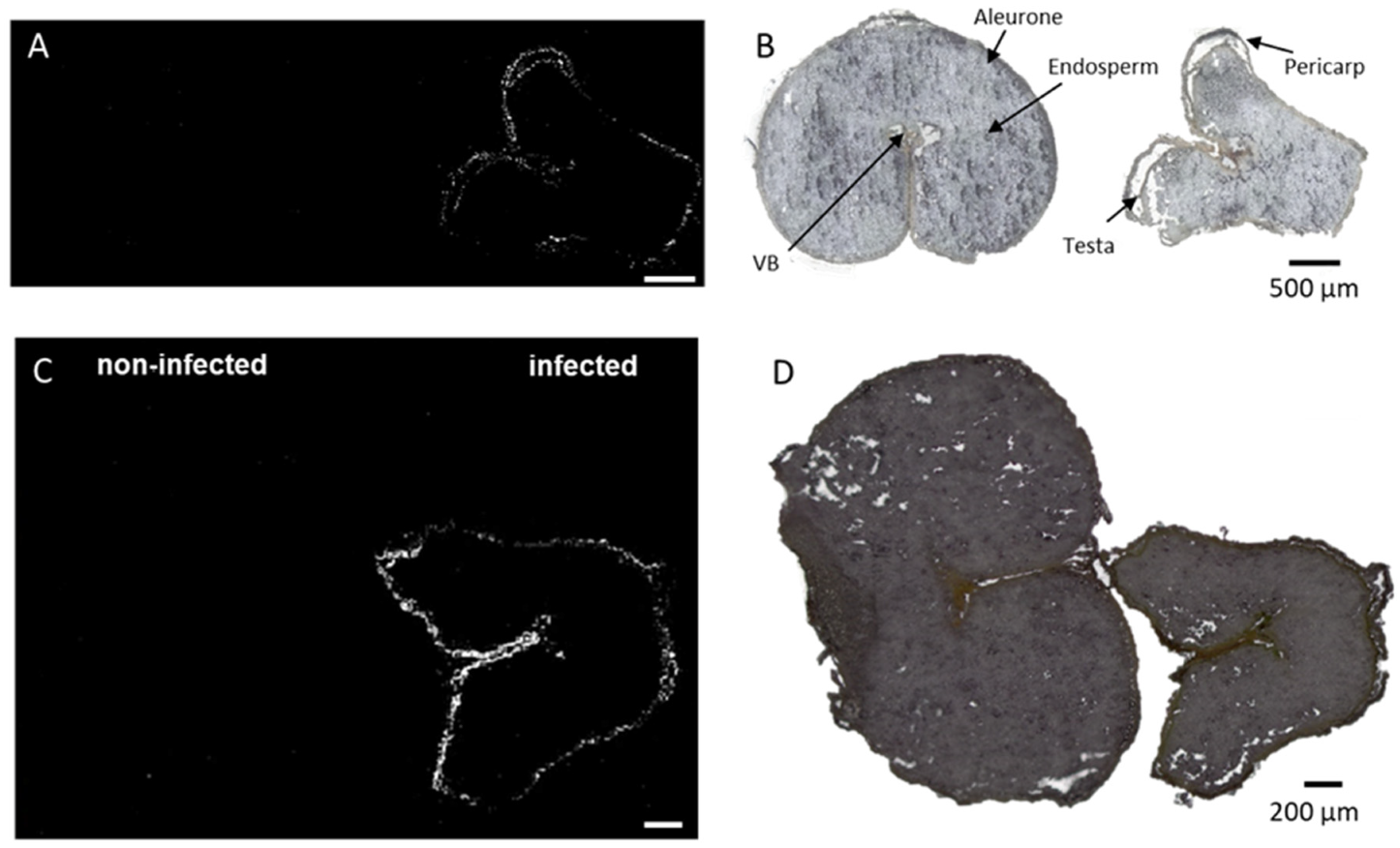 Metabolites 12 00048 g005