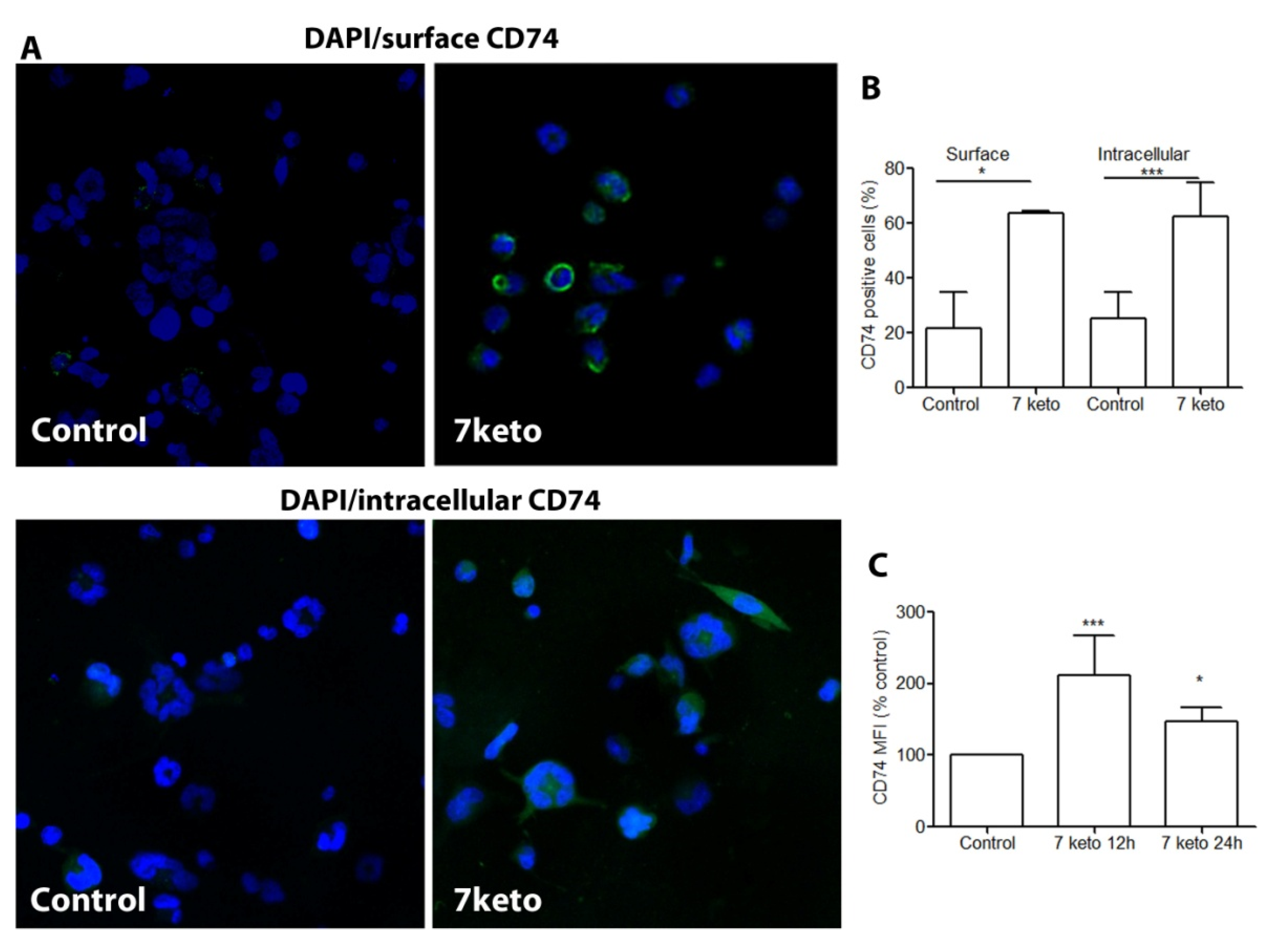 Metabolites 12 00054 g005