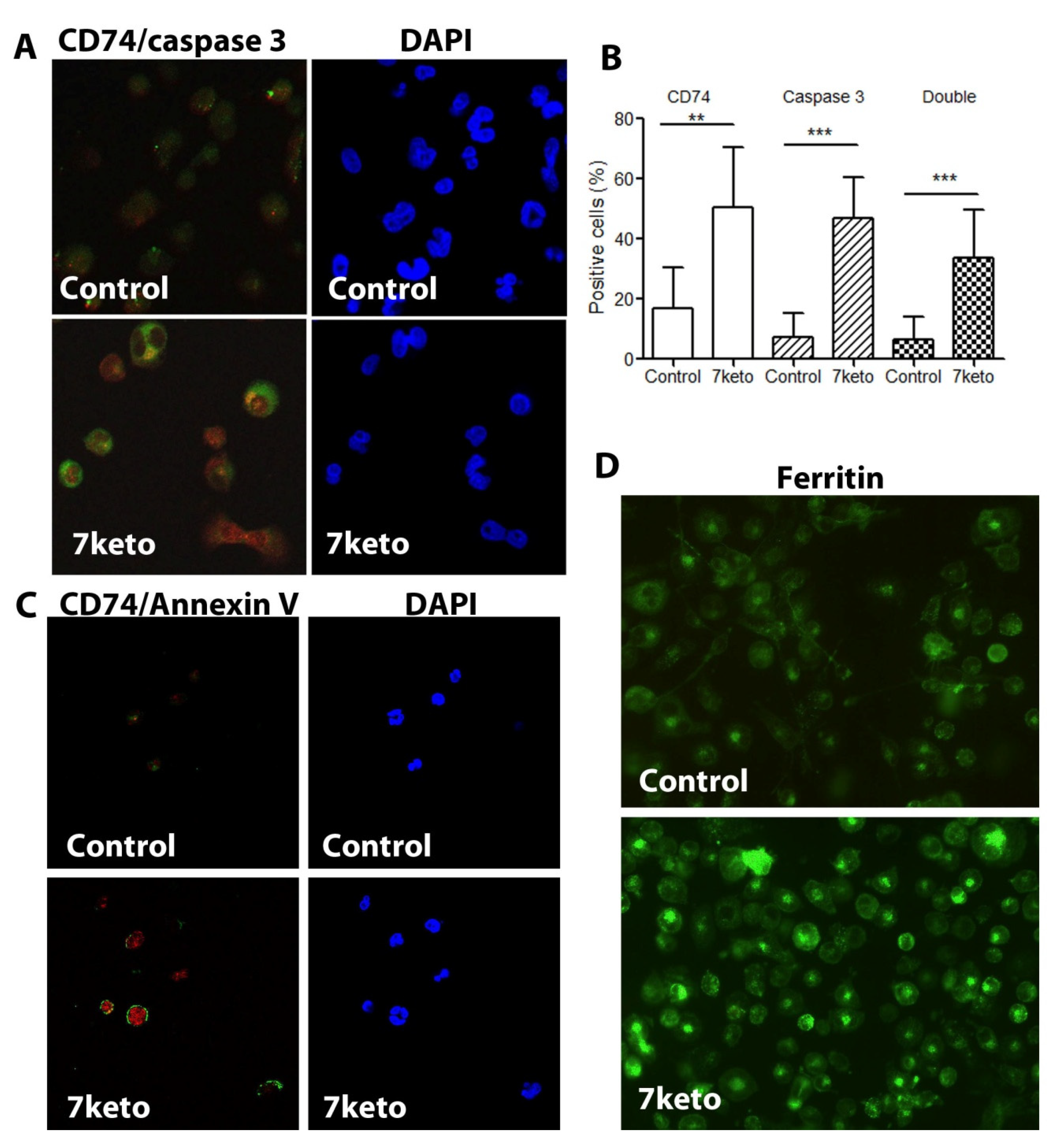 Metabolites 12 00054 g006