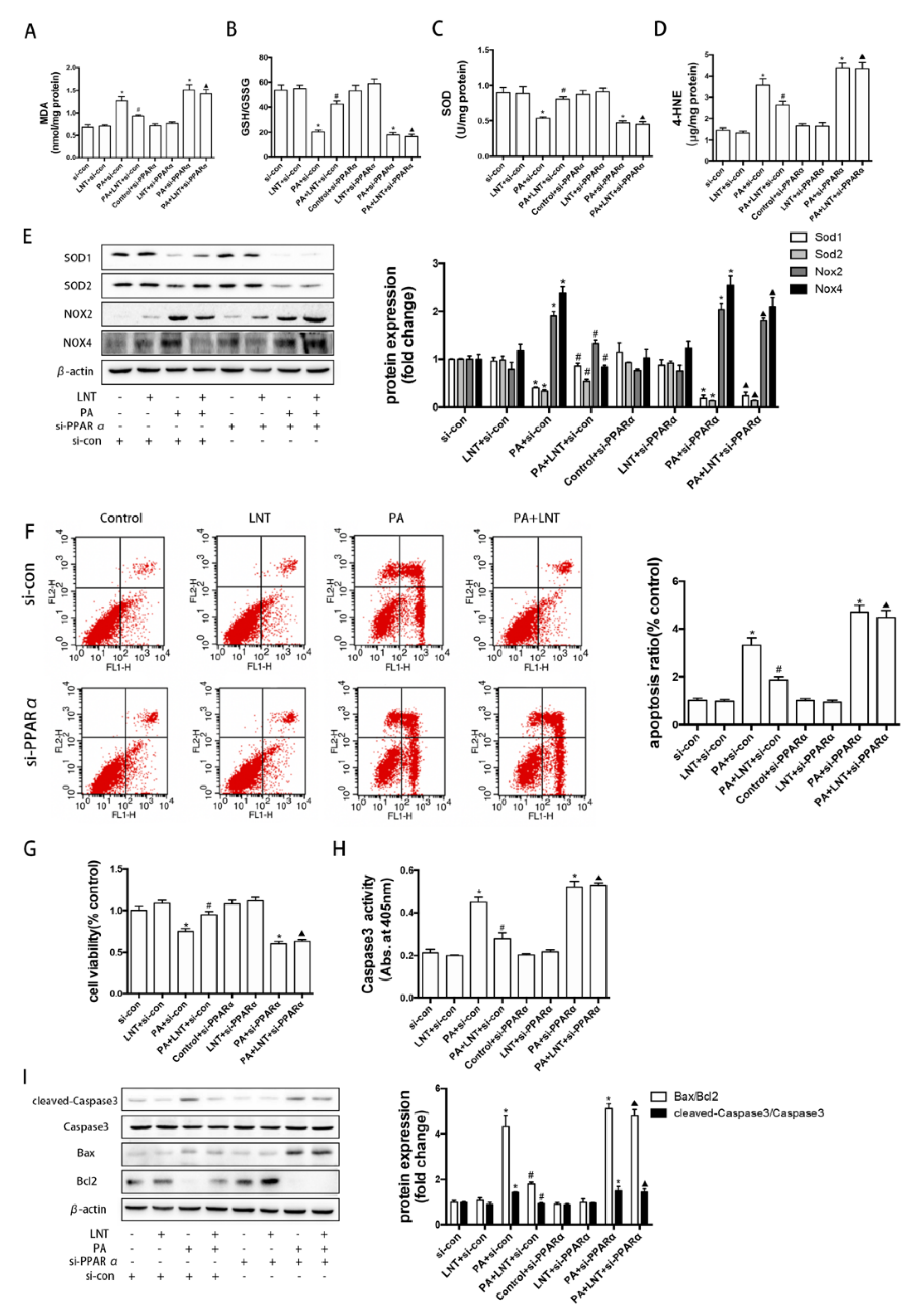 Metabolites 12 00055 g006