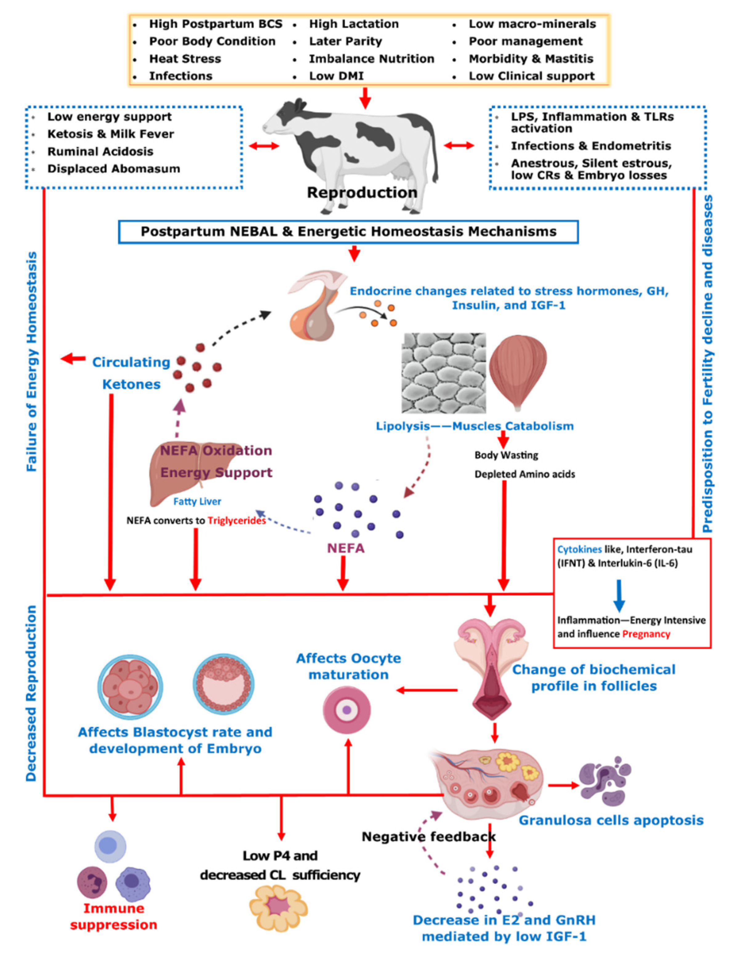 Metabolites 12 00060 g001 Metabolites 12 00060 g001
