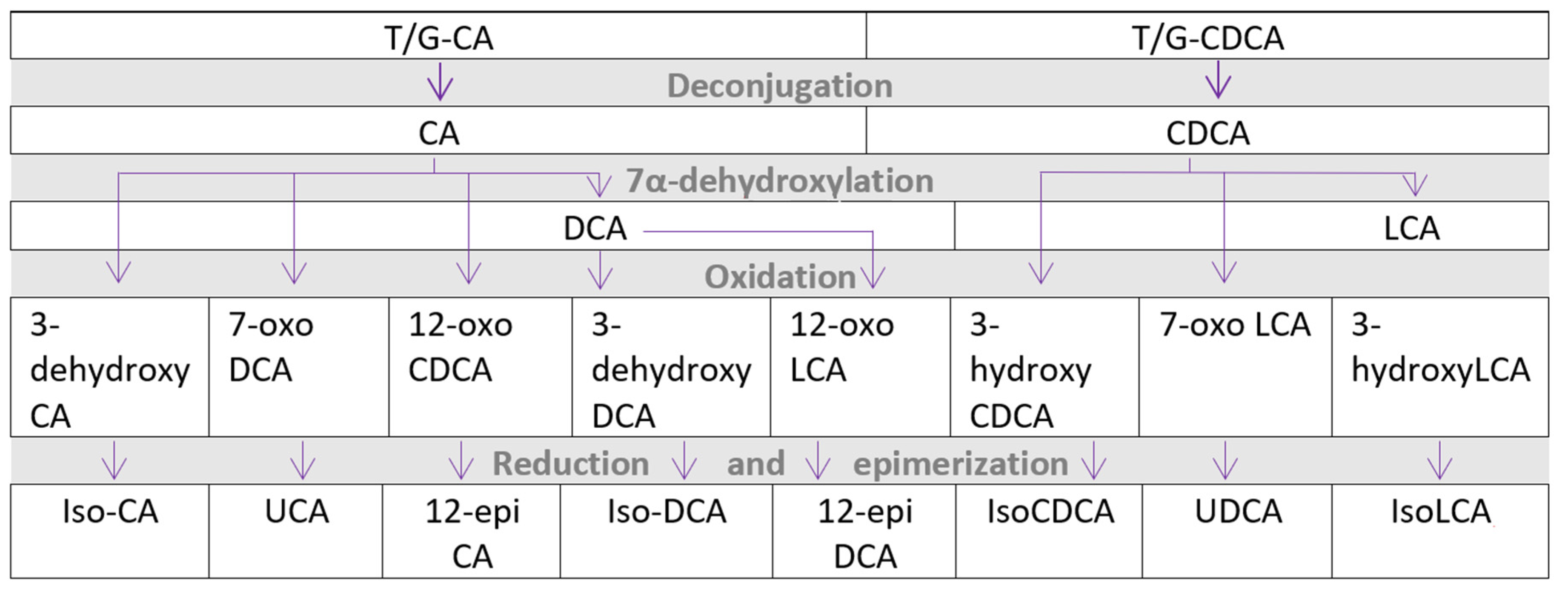 Metabolites 12 00065 g001