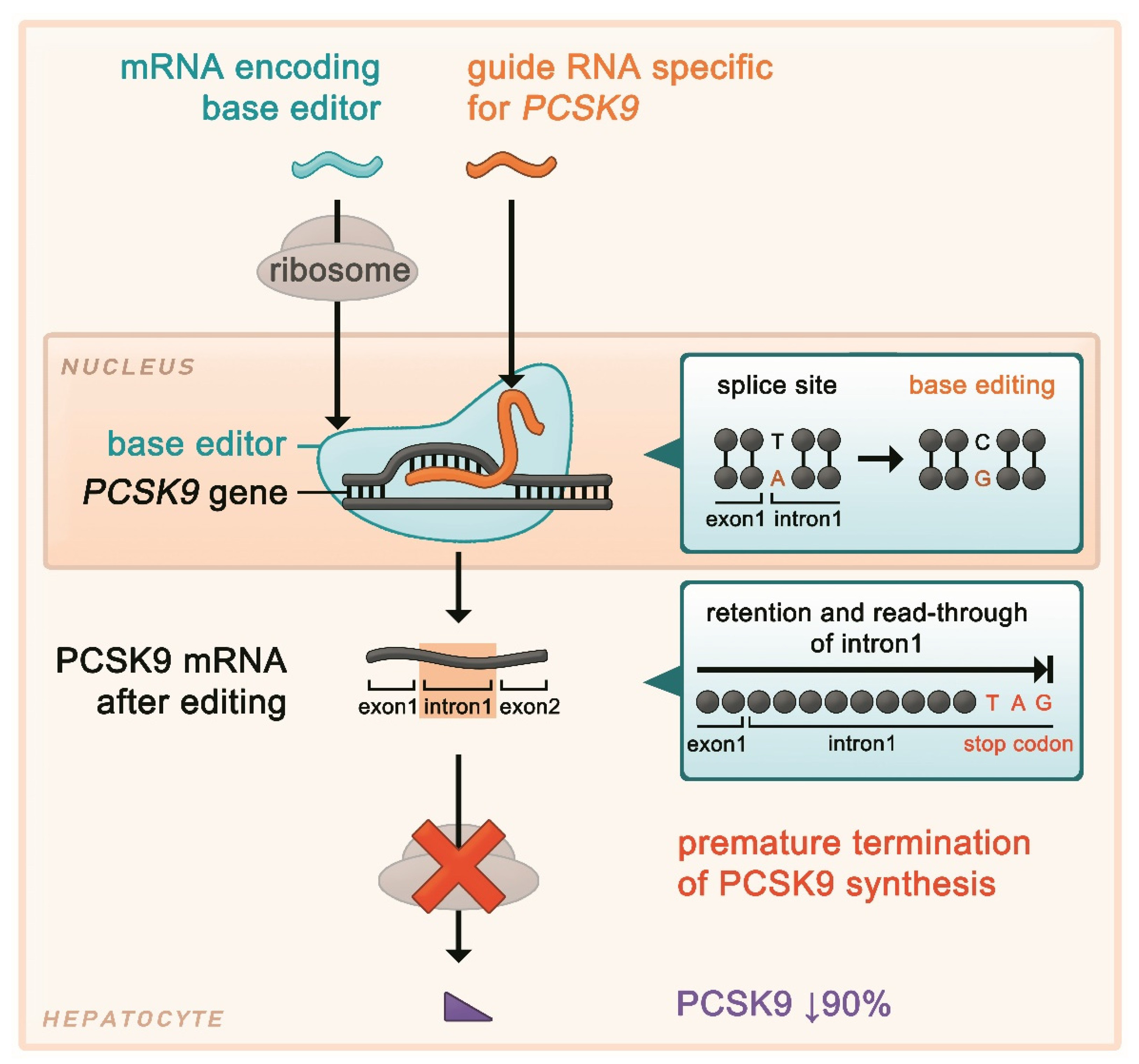 Metabolites 12 00070 g002