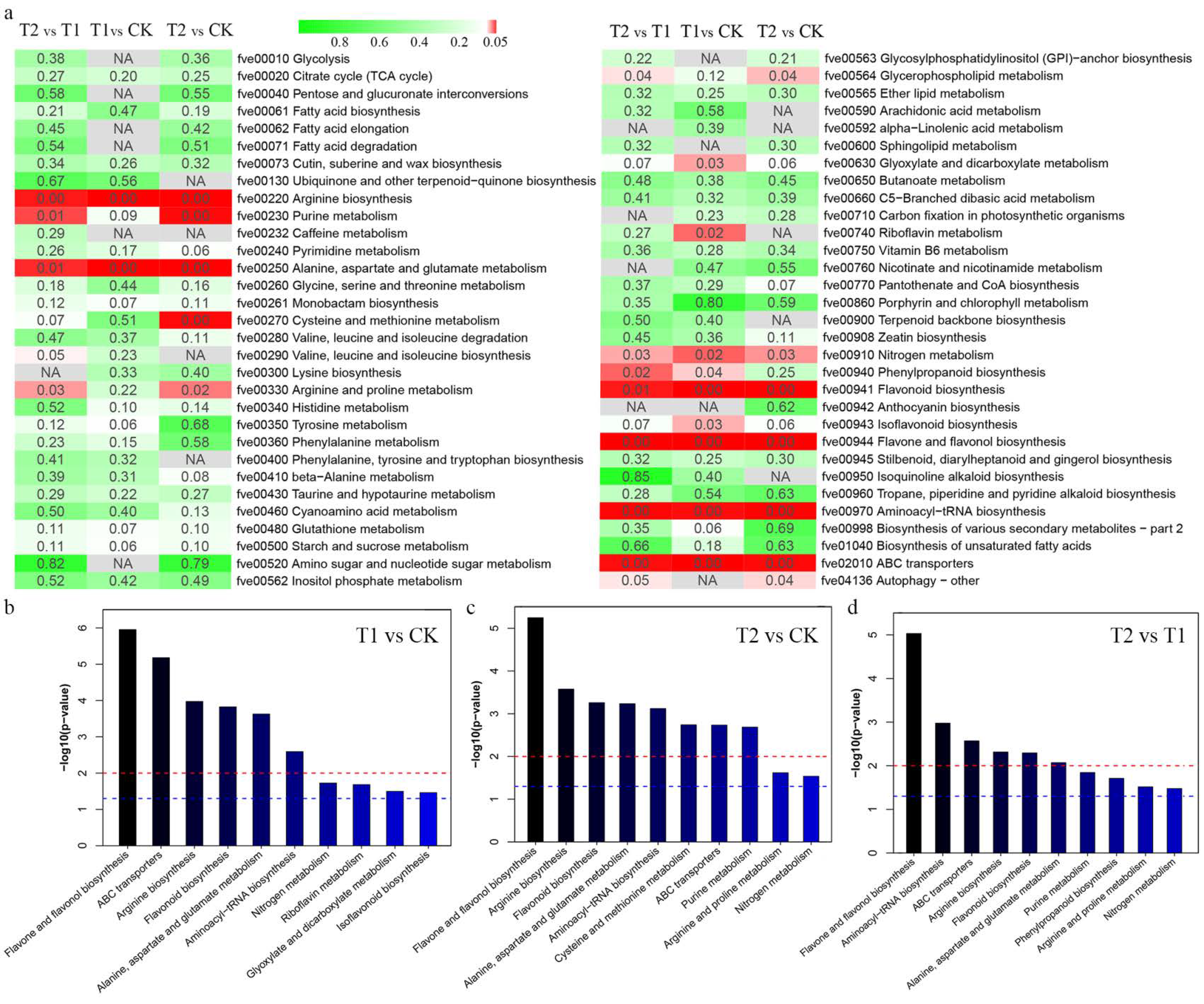 Metabolites 12 00079 g005