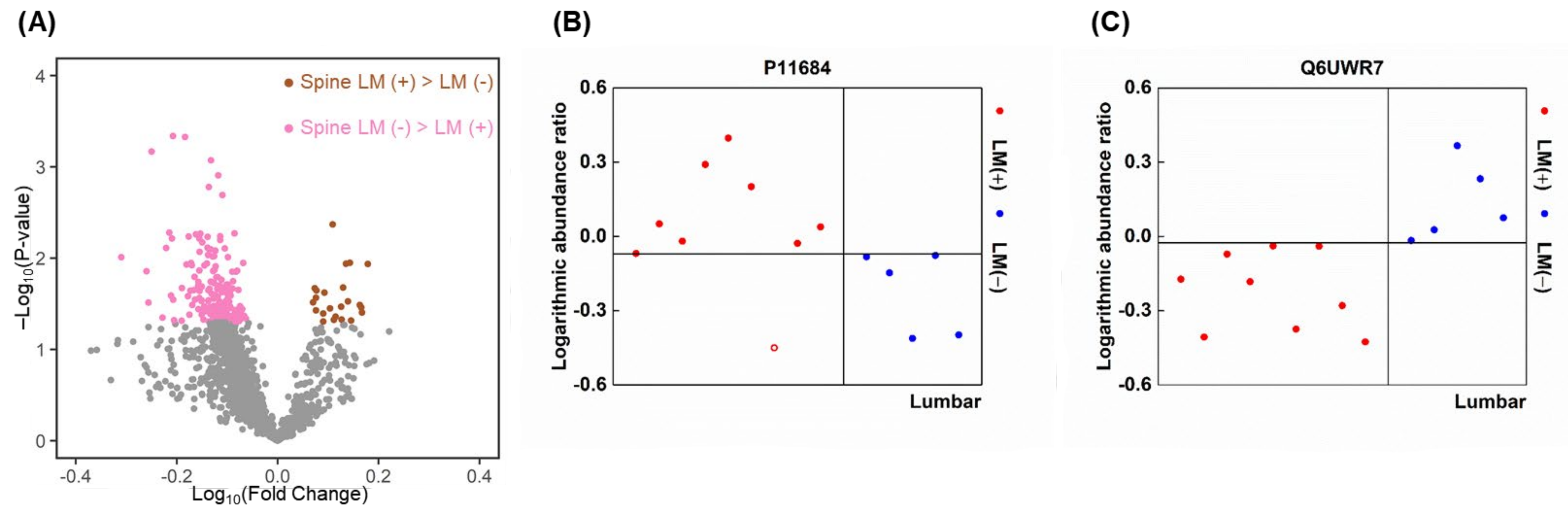 Metabolites 12 00080 g005 Metabolites 12 00080 g005