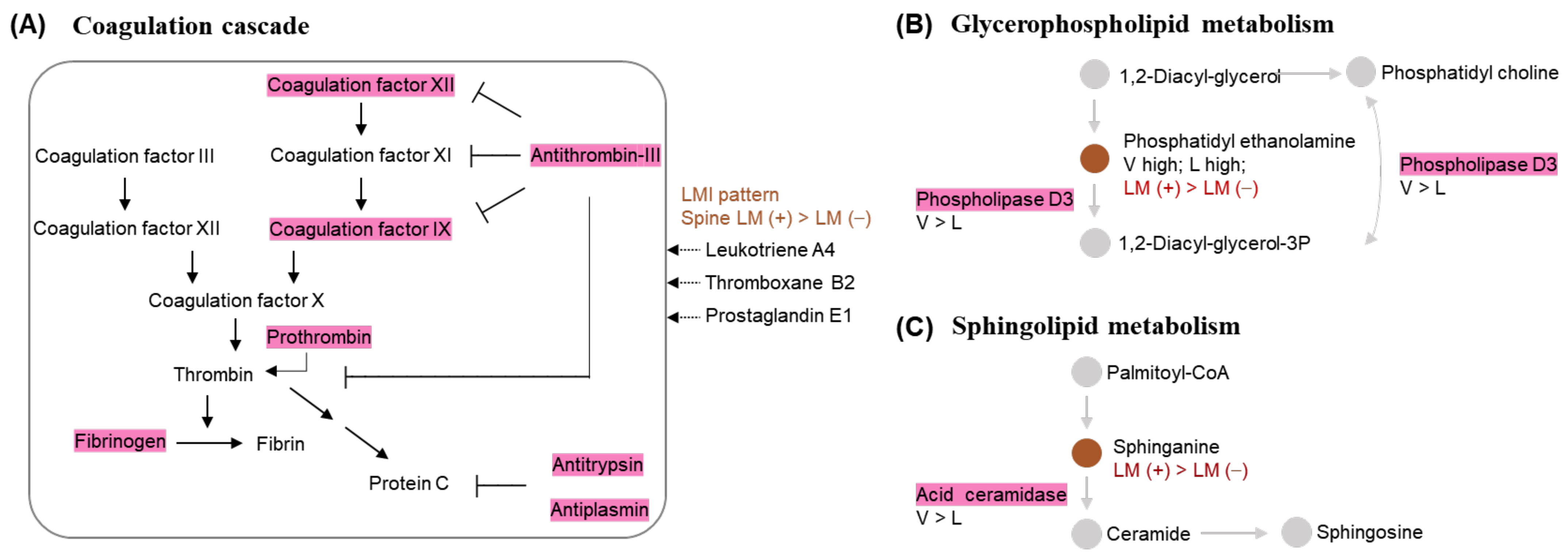 Metabolites 12 00080 g008 Metabolites 12 00080 g008