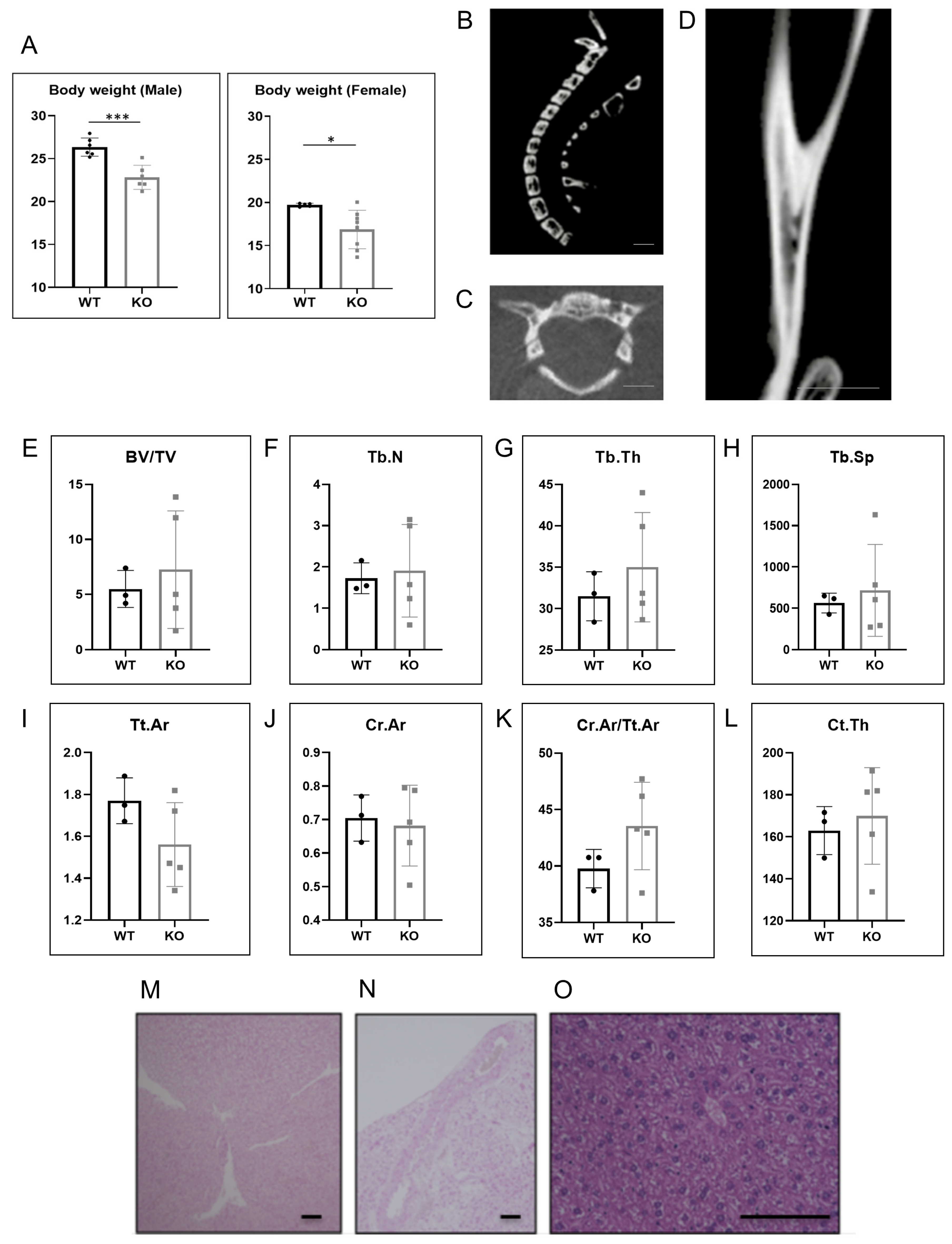 Metabolites 12 00082 g003