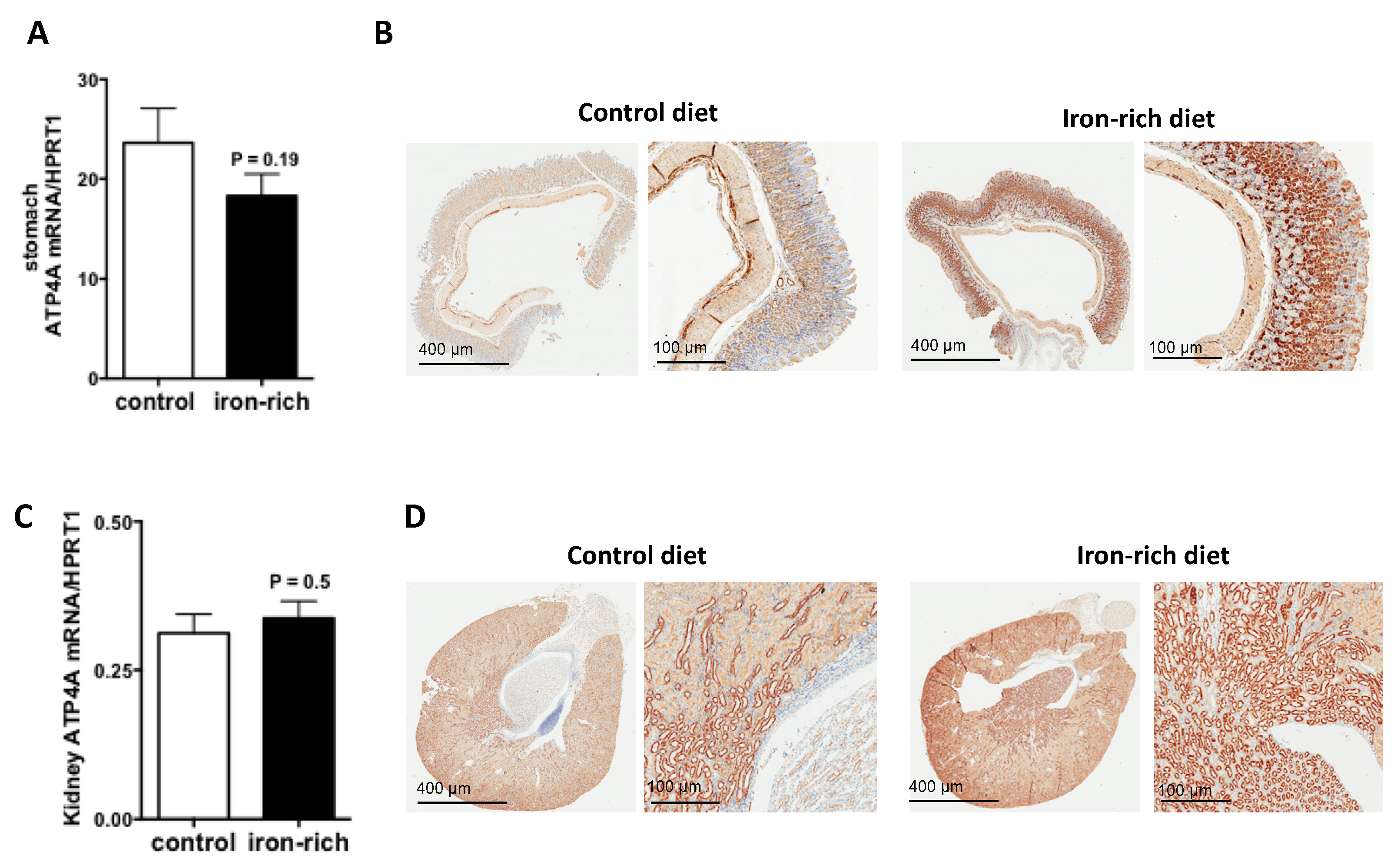 Metabolites 12 00089 g005