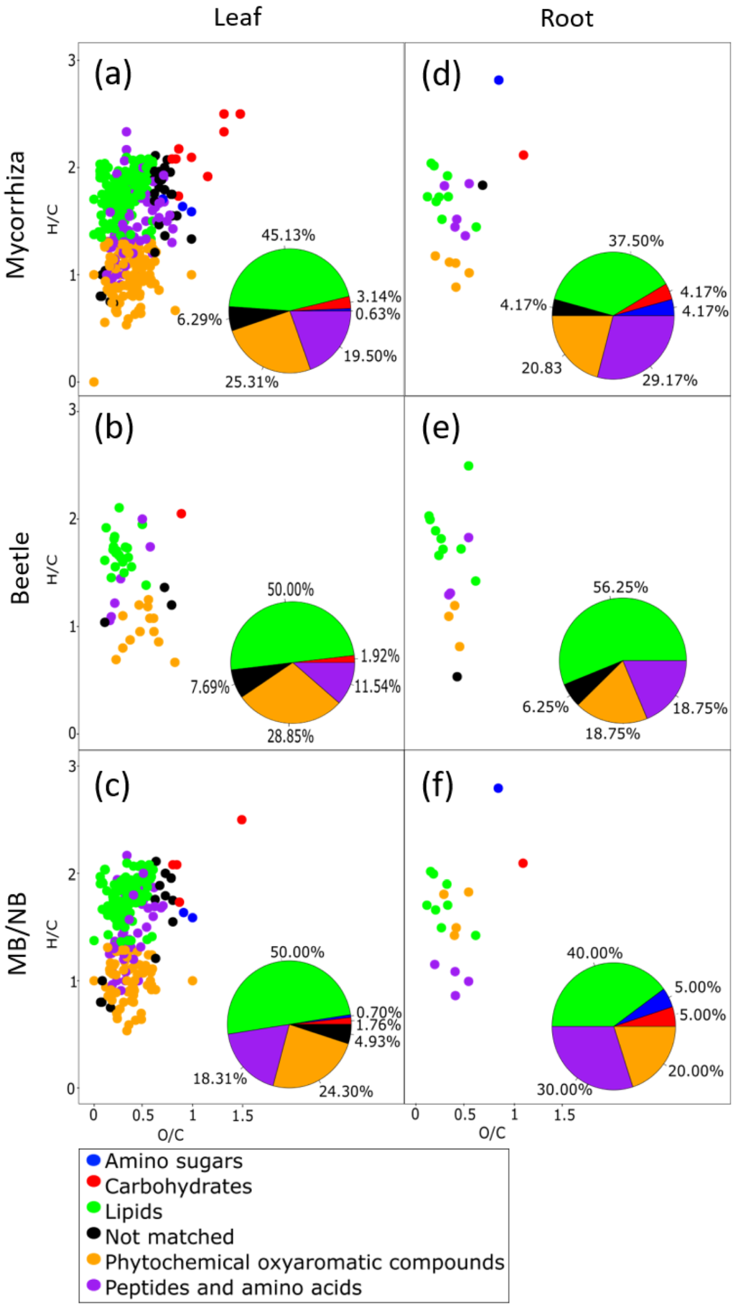 Metabolites 12 00093 g004
