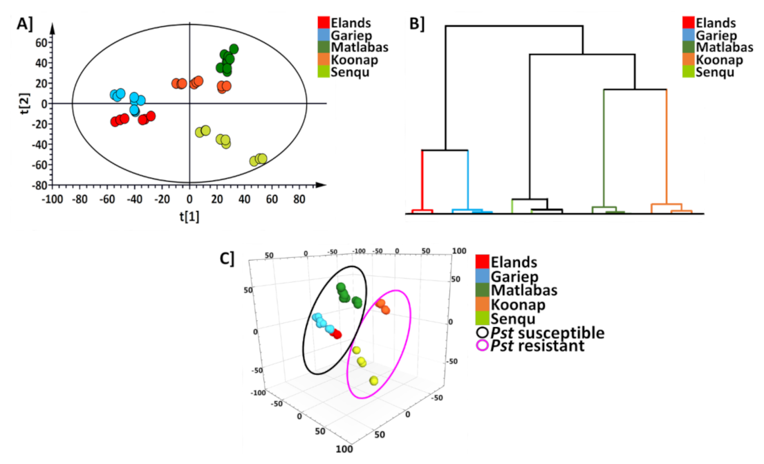 Metabolites 12 00098 g002 550