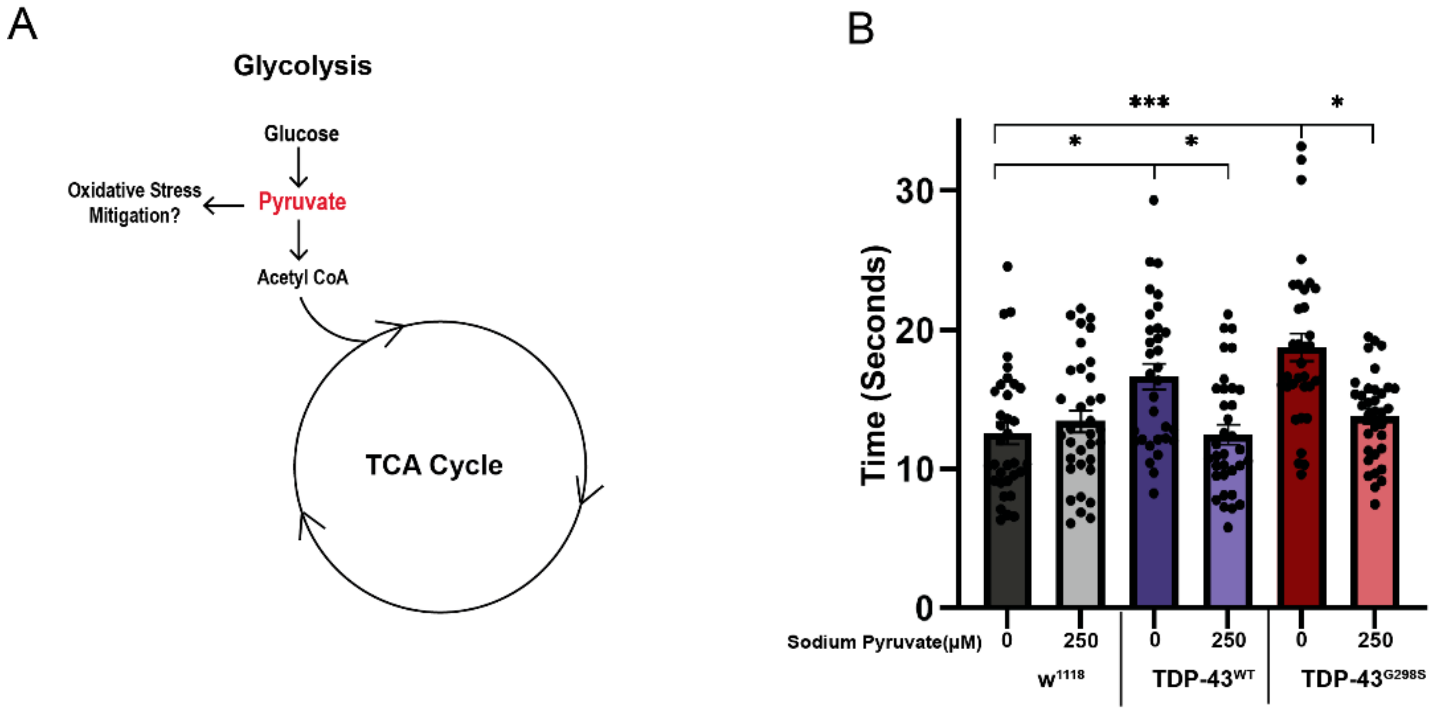 Metabolites 12 00101 g003 Metabolites 12 00101 g003