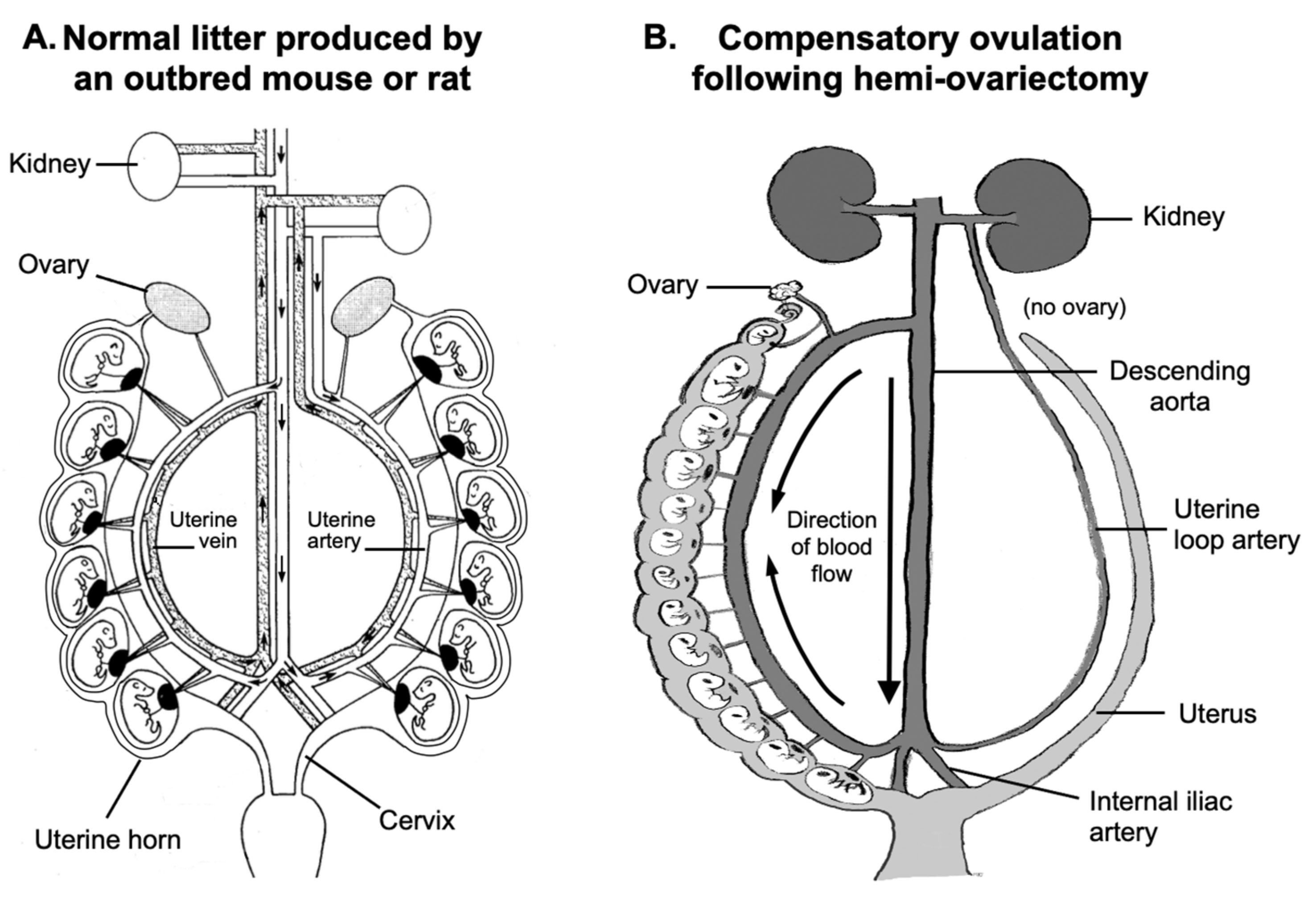 Metabolites 12 00102 g001 Metabolites 12 00102 g001
