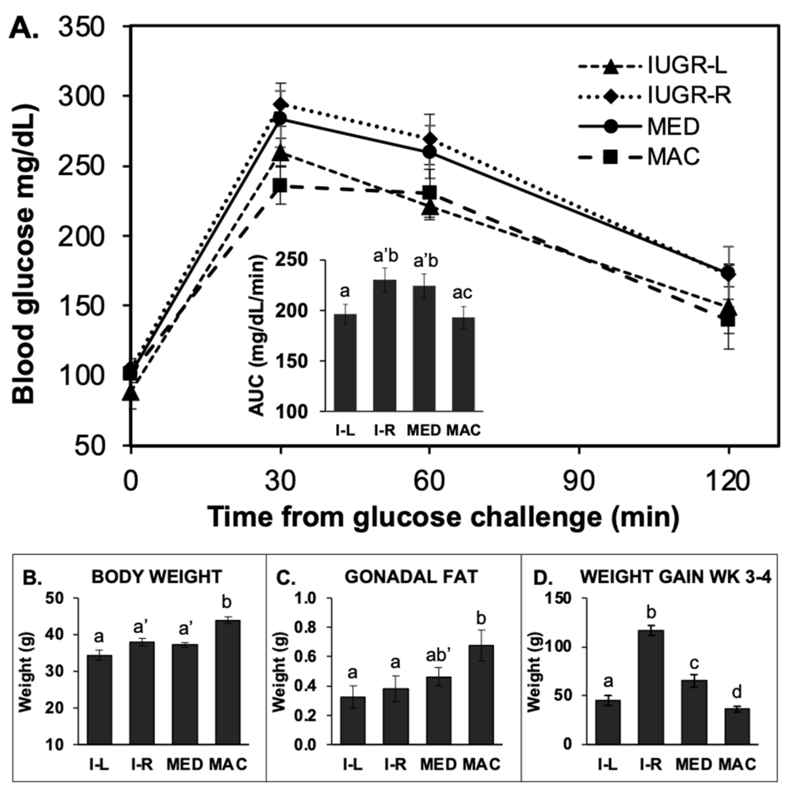 Metabolites 12 00102 g004 Metabolites 12 00102 g004