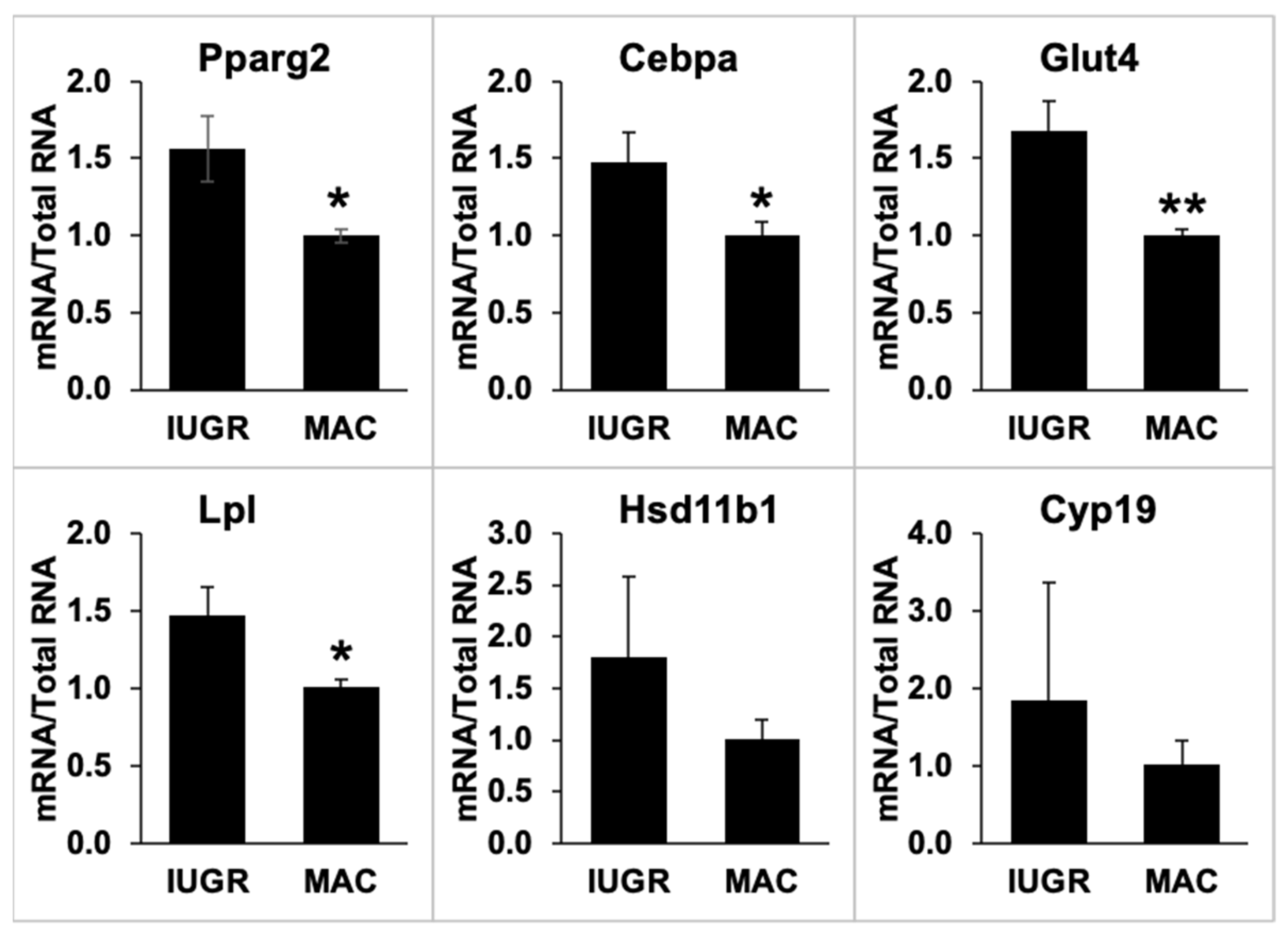 Metabolites 12 00102 g008 Metabolites 12 00102 g008