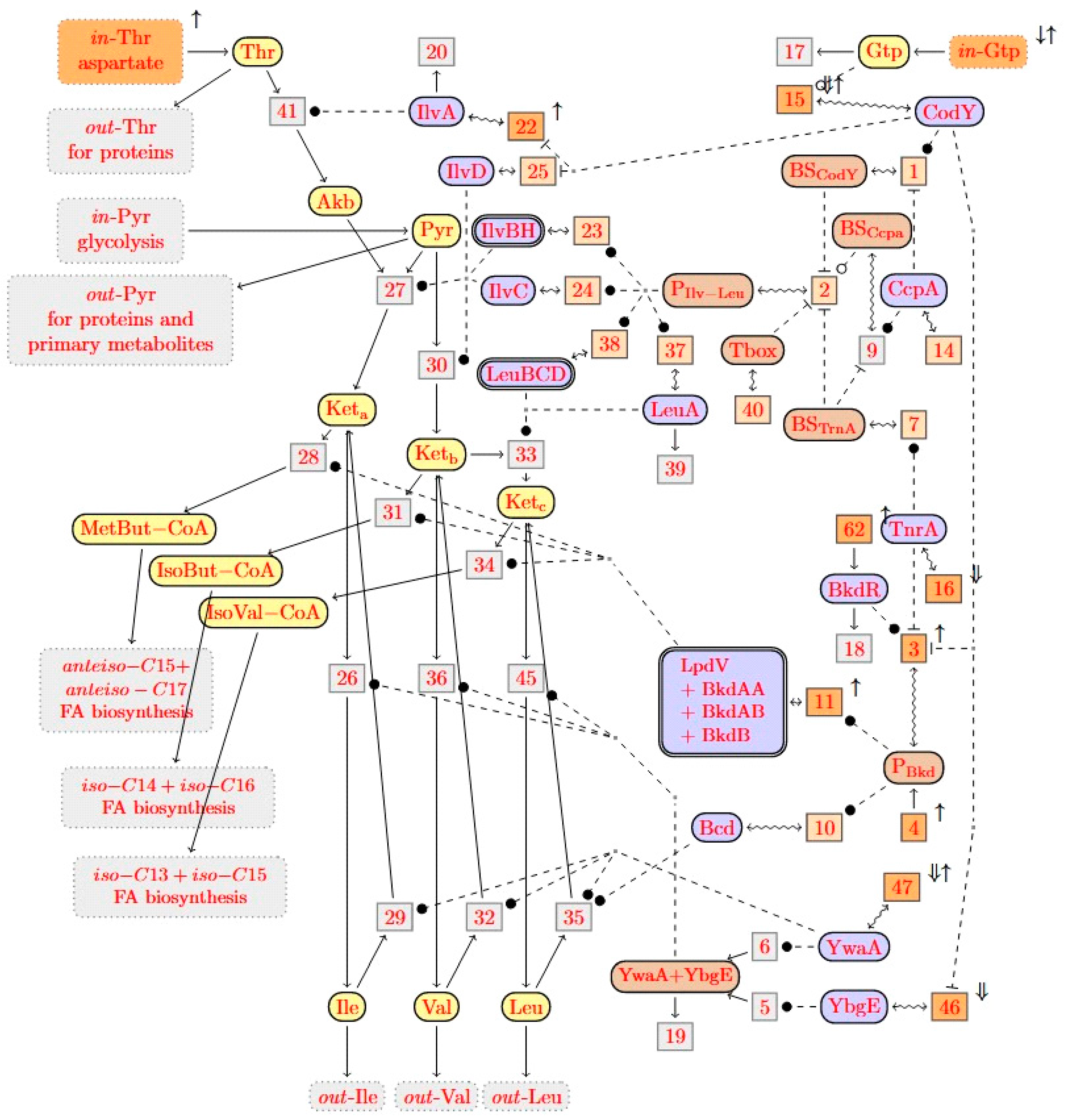 Metabolites 12 00107 g005 Metabolites 12 00107 g005