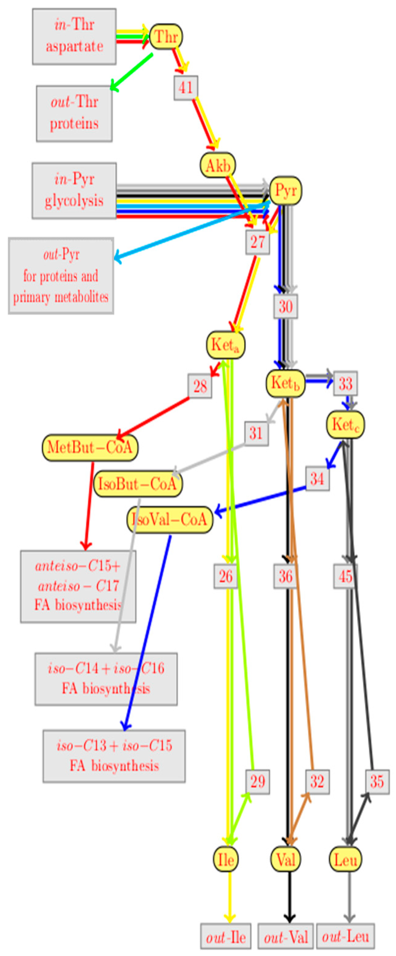 Metabolites 12 00107 g008 Metabolites 12 00107 g008