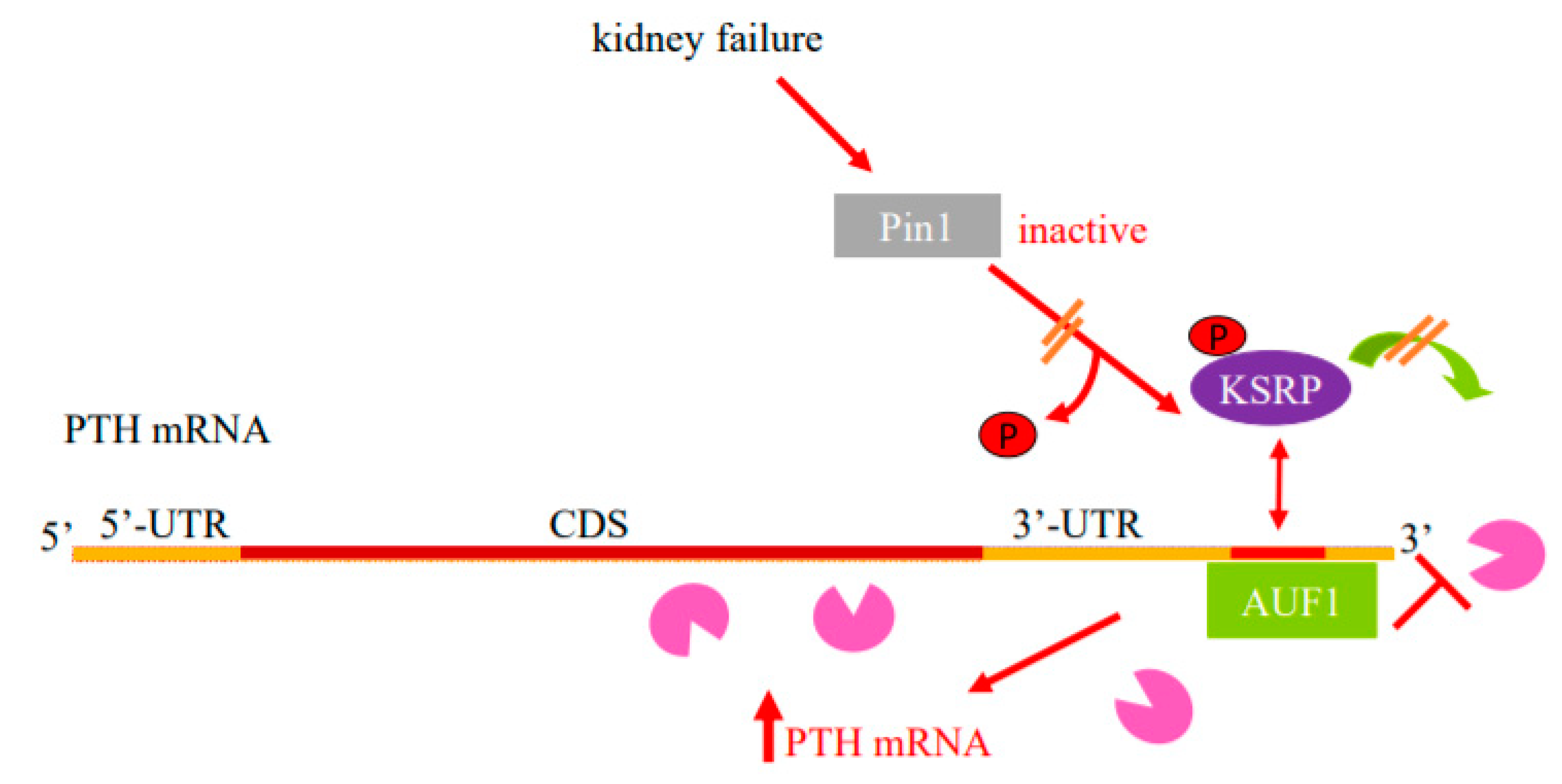 Metabolites 12 00111 g001 Metabolites 12 00111 g001