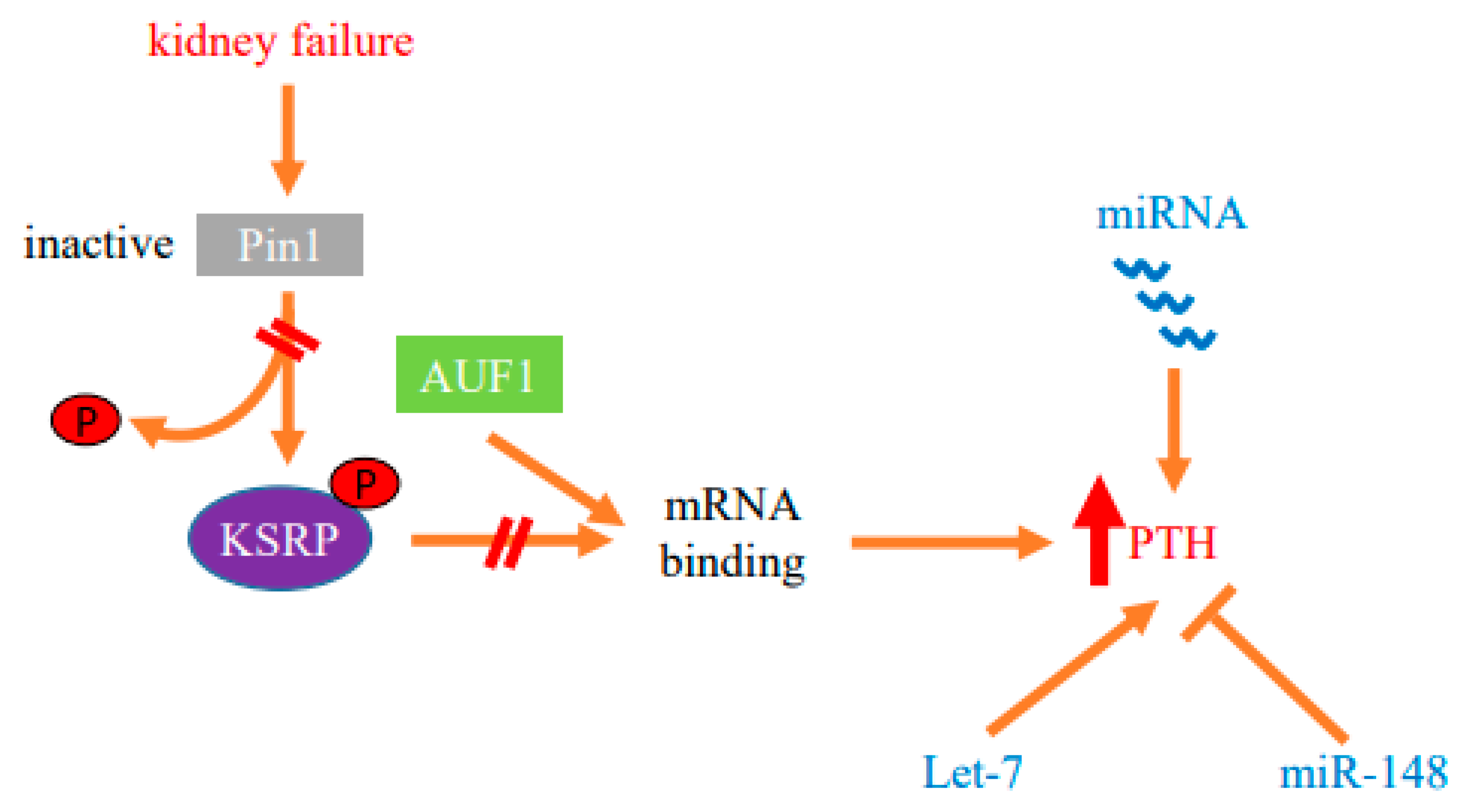 Metabolites 12 00111 g002 Metabolites 12 00111 g002