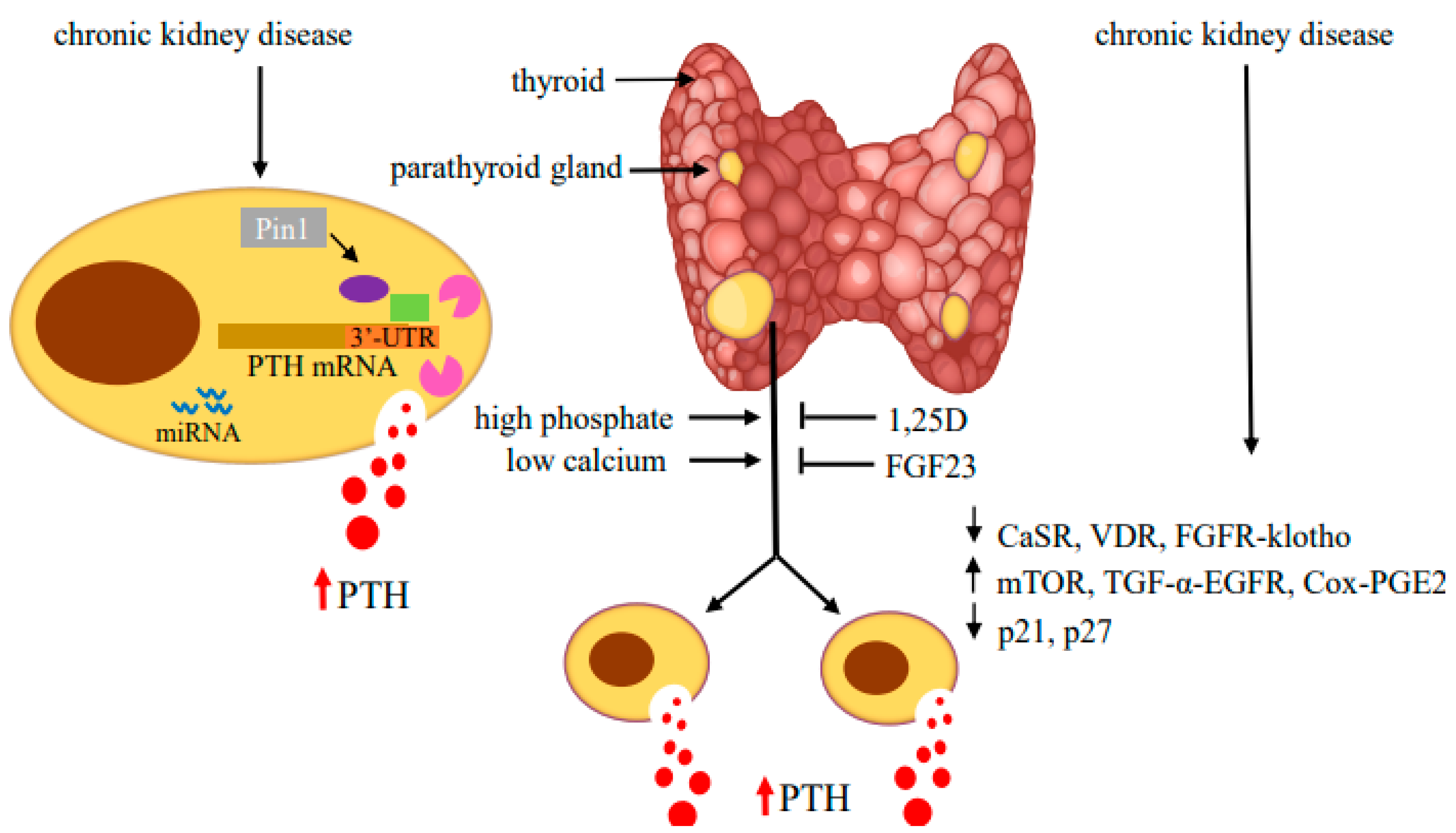 Metabolites 12 00111 g003 Metabolites 12 00111 g003