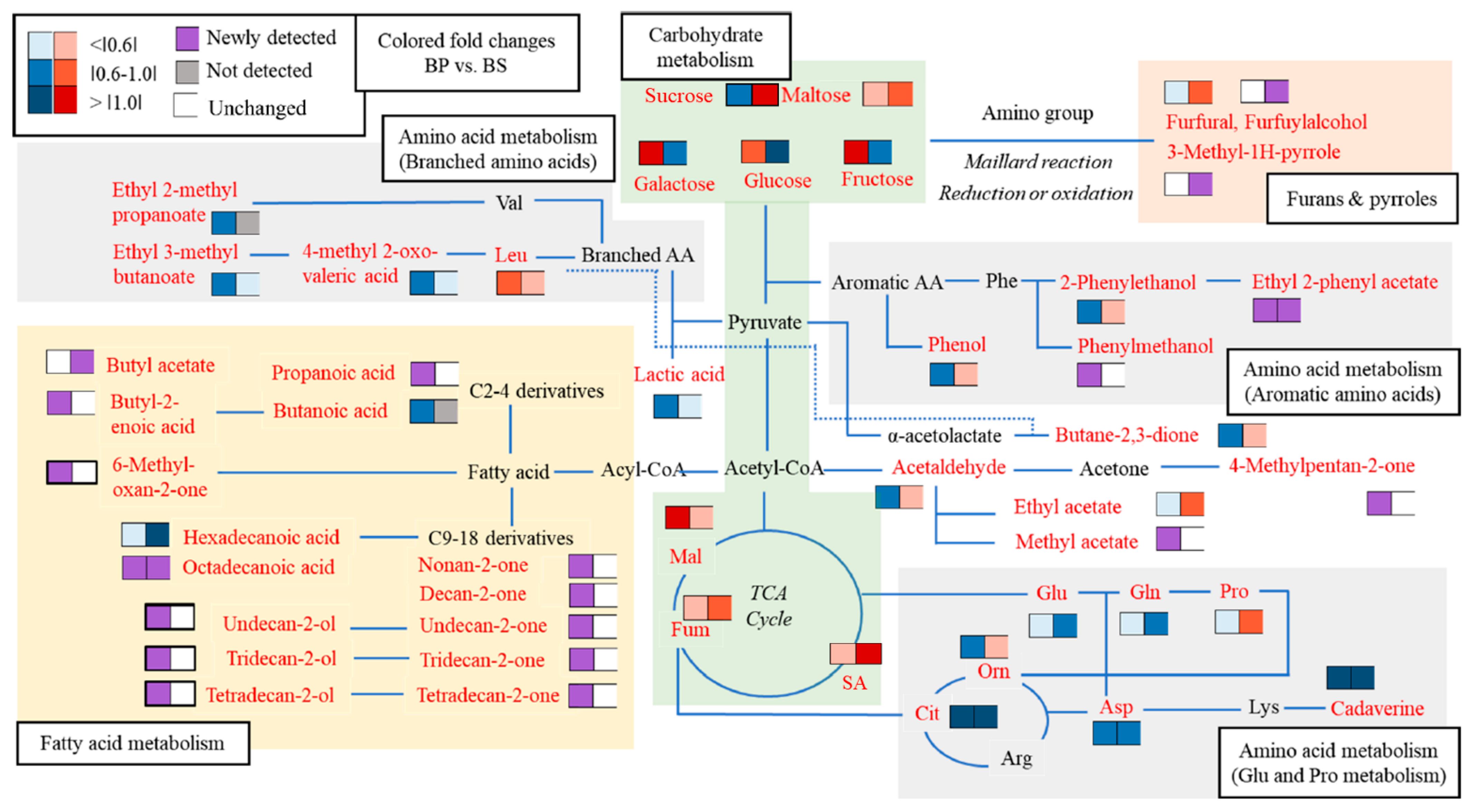 Metabolites 12 00112 g003 Metabolites 12 00112 g003