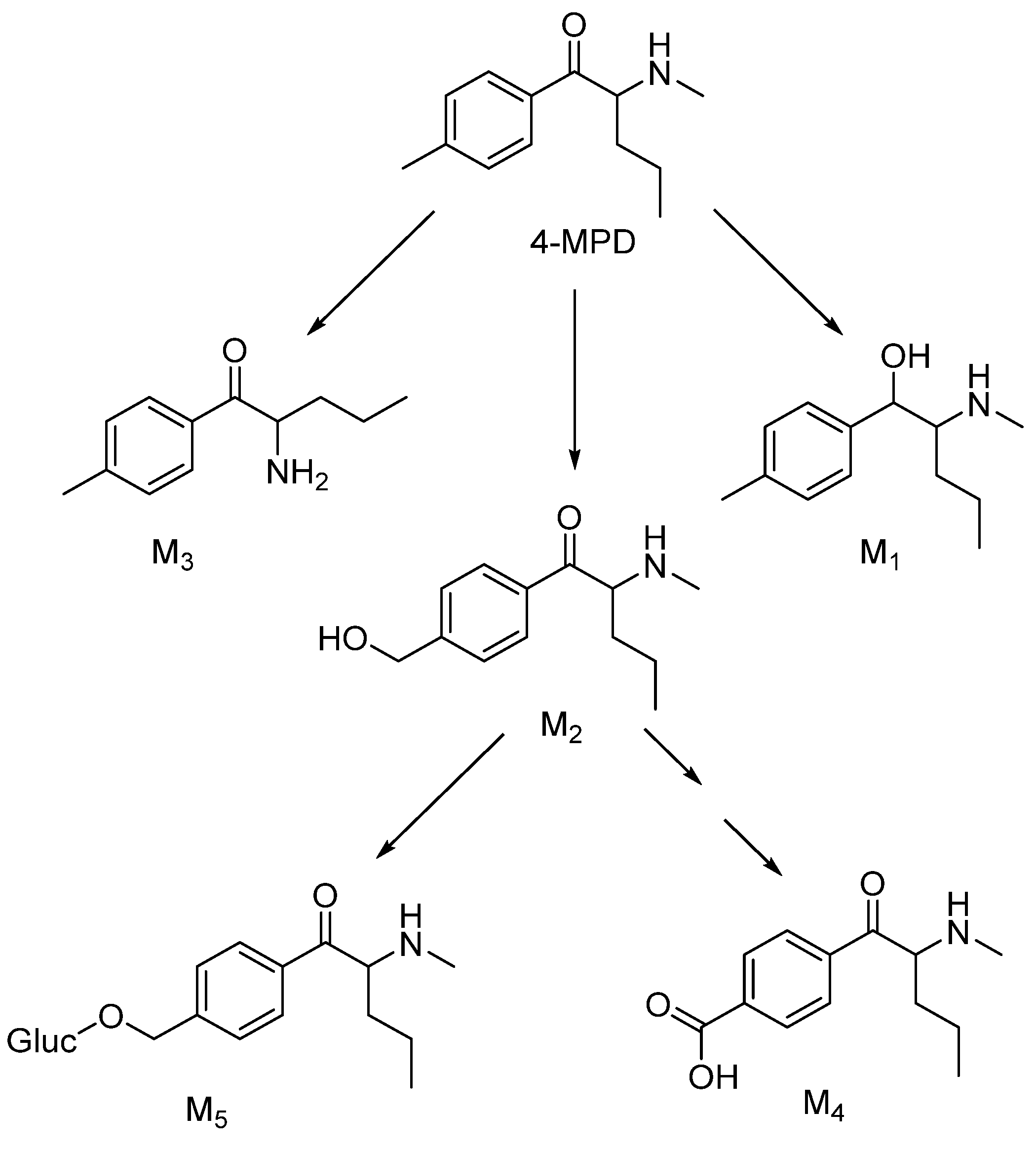 Metabolites 12 00115 g002