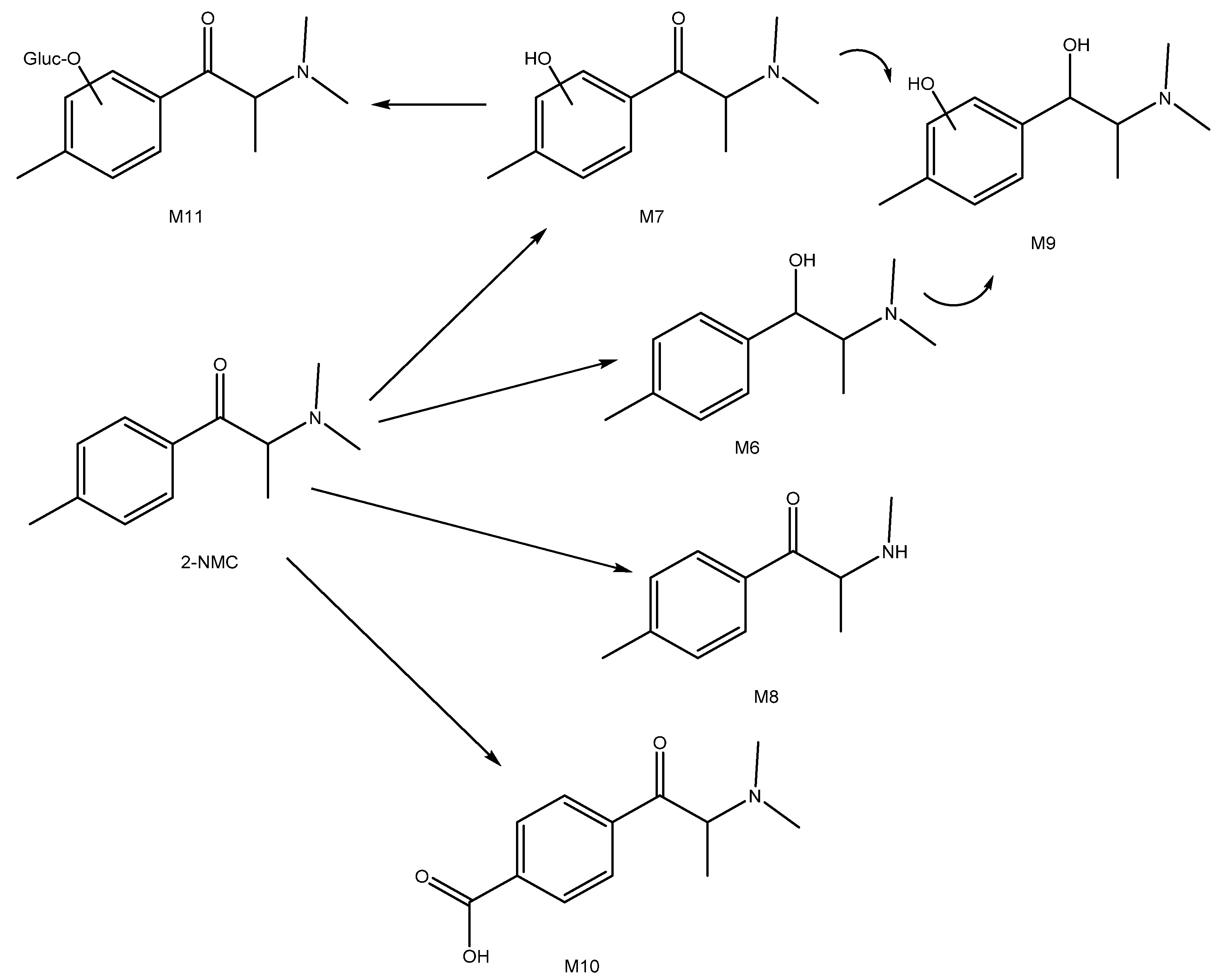 Metabolites 12 00115 g005