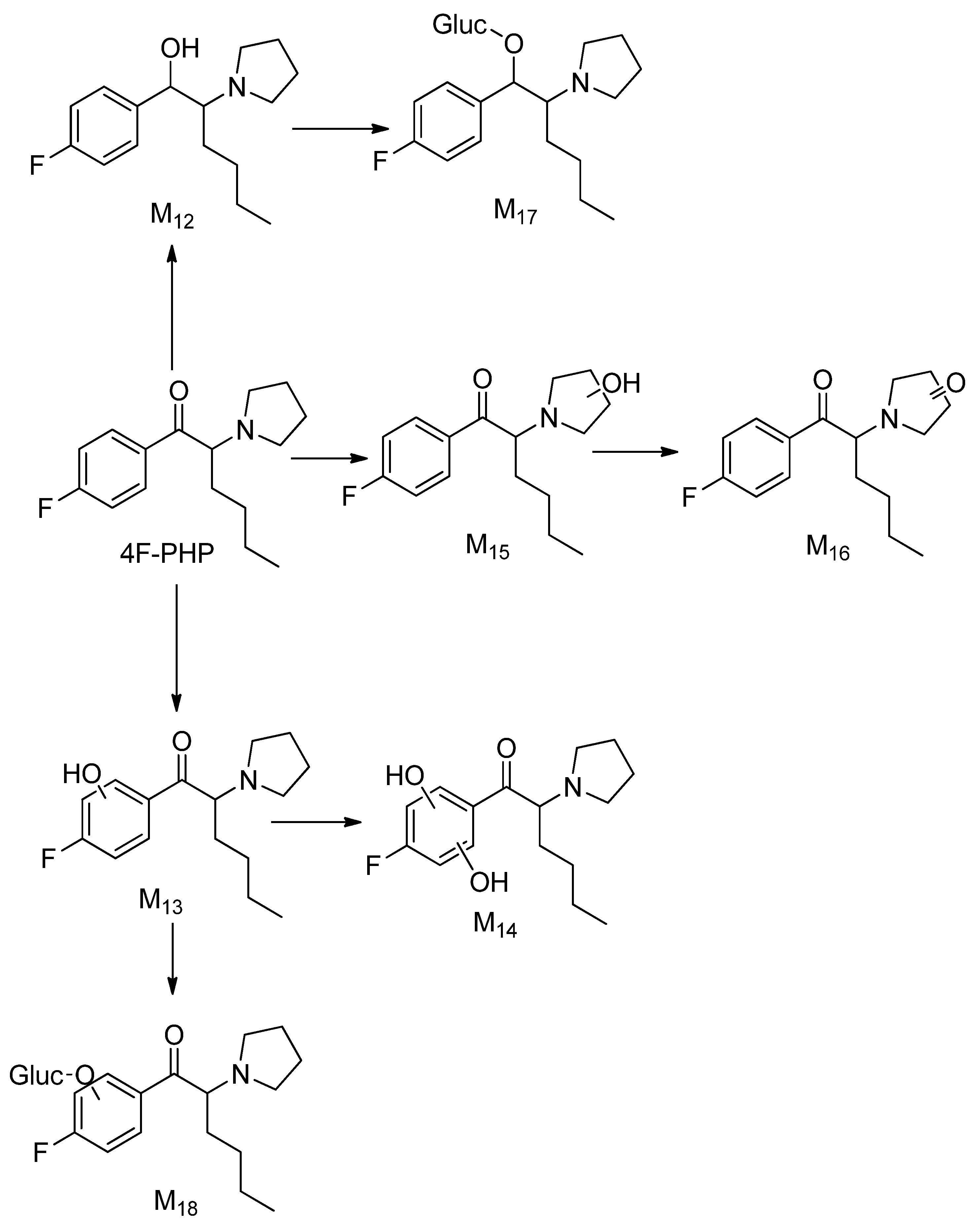 Metabolites 12 00115 g007