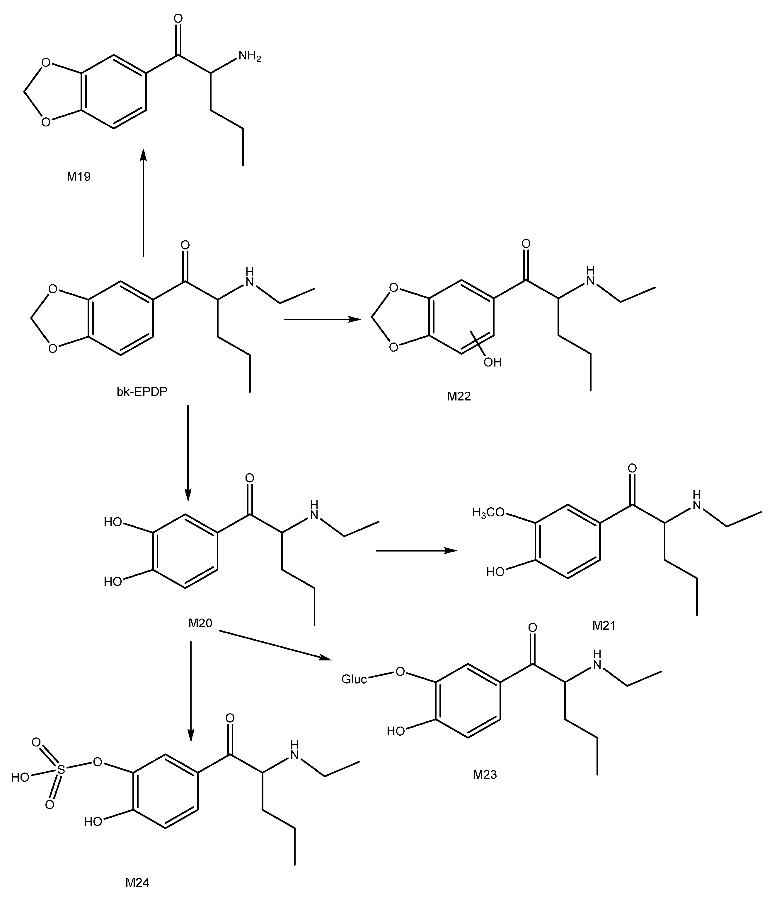 Metabolites 12 00115 g009