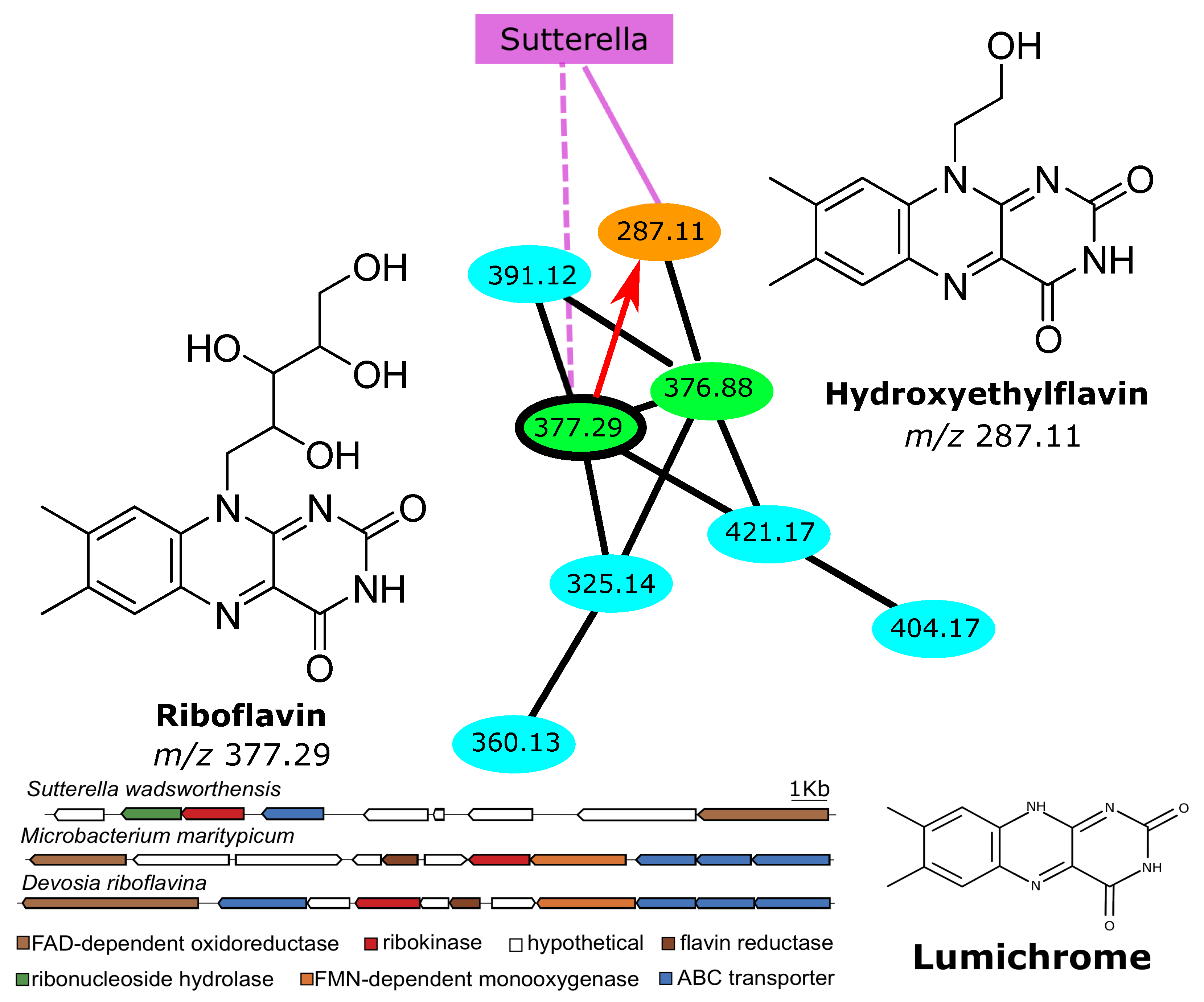 Metabolites 12 00119 g003