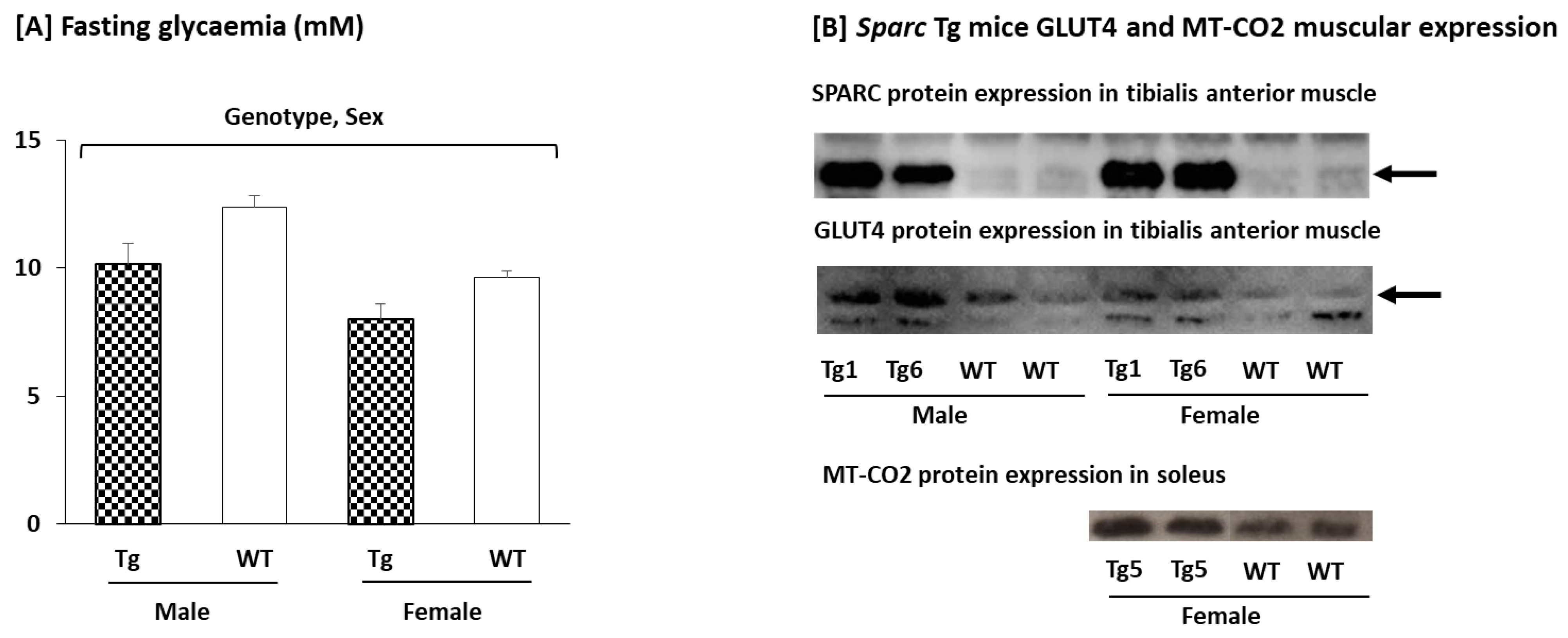 Metabolites 12 00125 g005