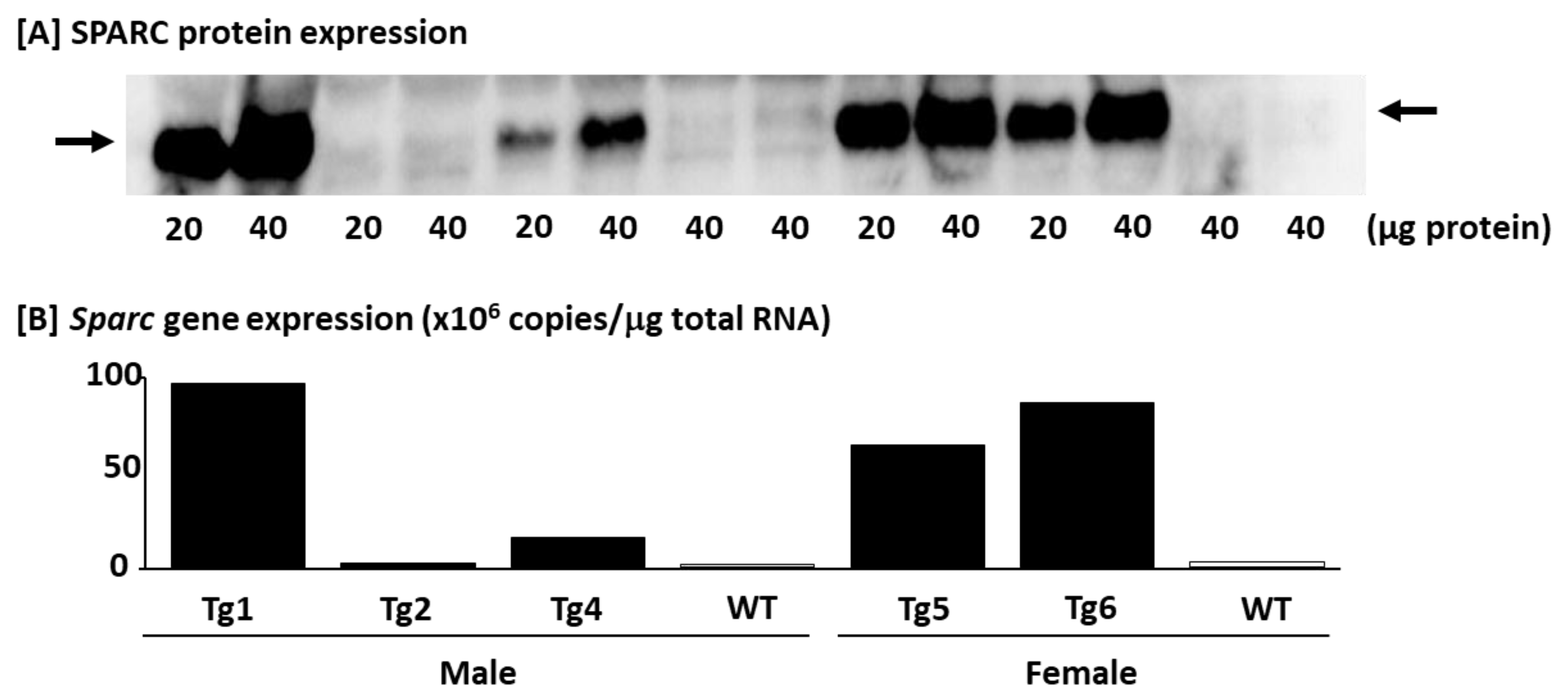 Metabolites 12 00125 g007