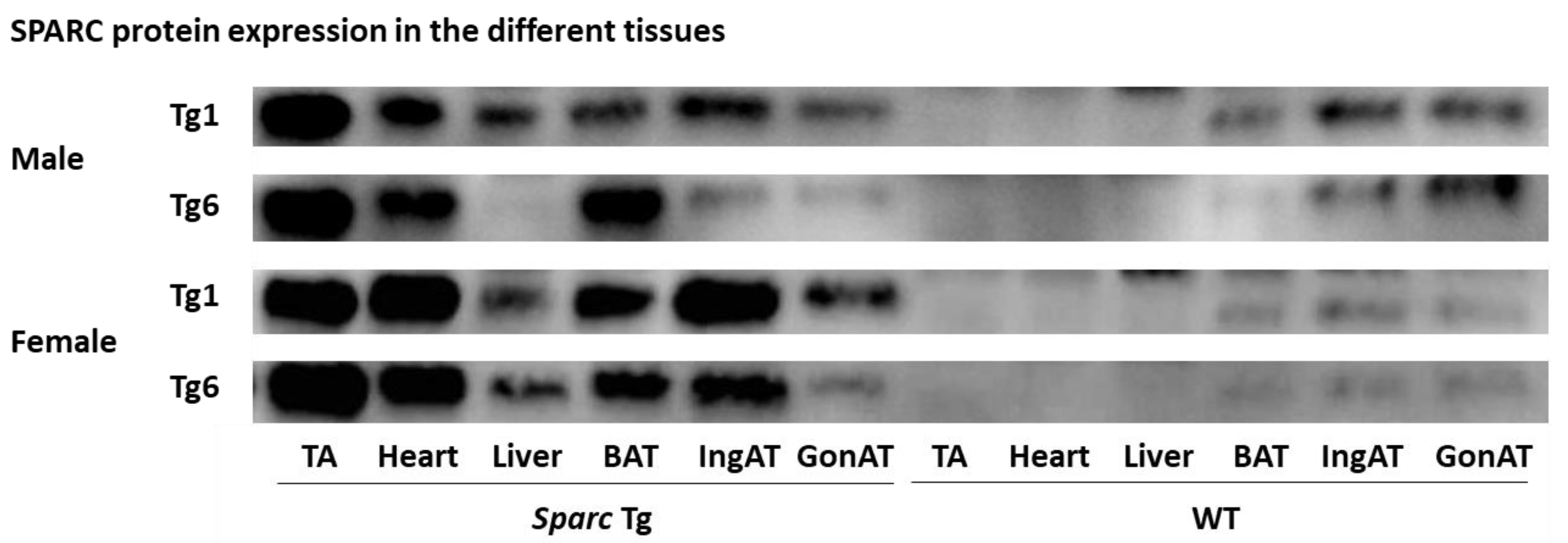 Metabolites 12 00125 g008