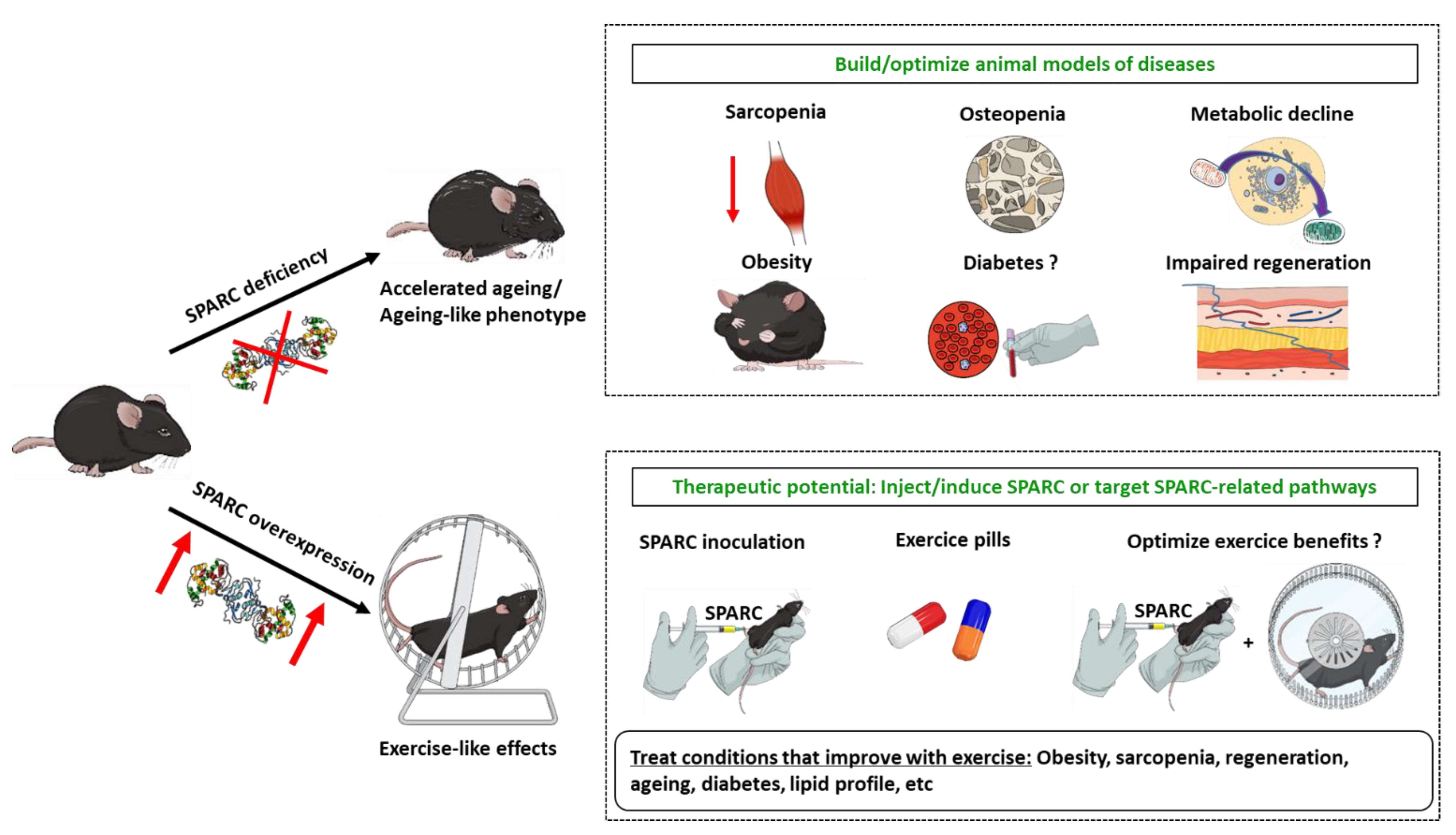 Metabolites 12 00125 g009