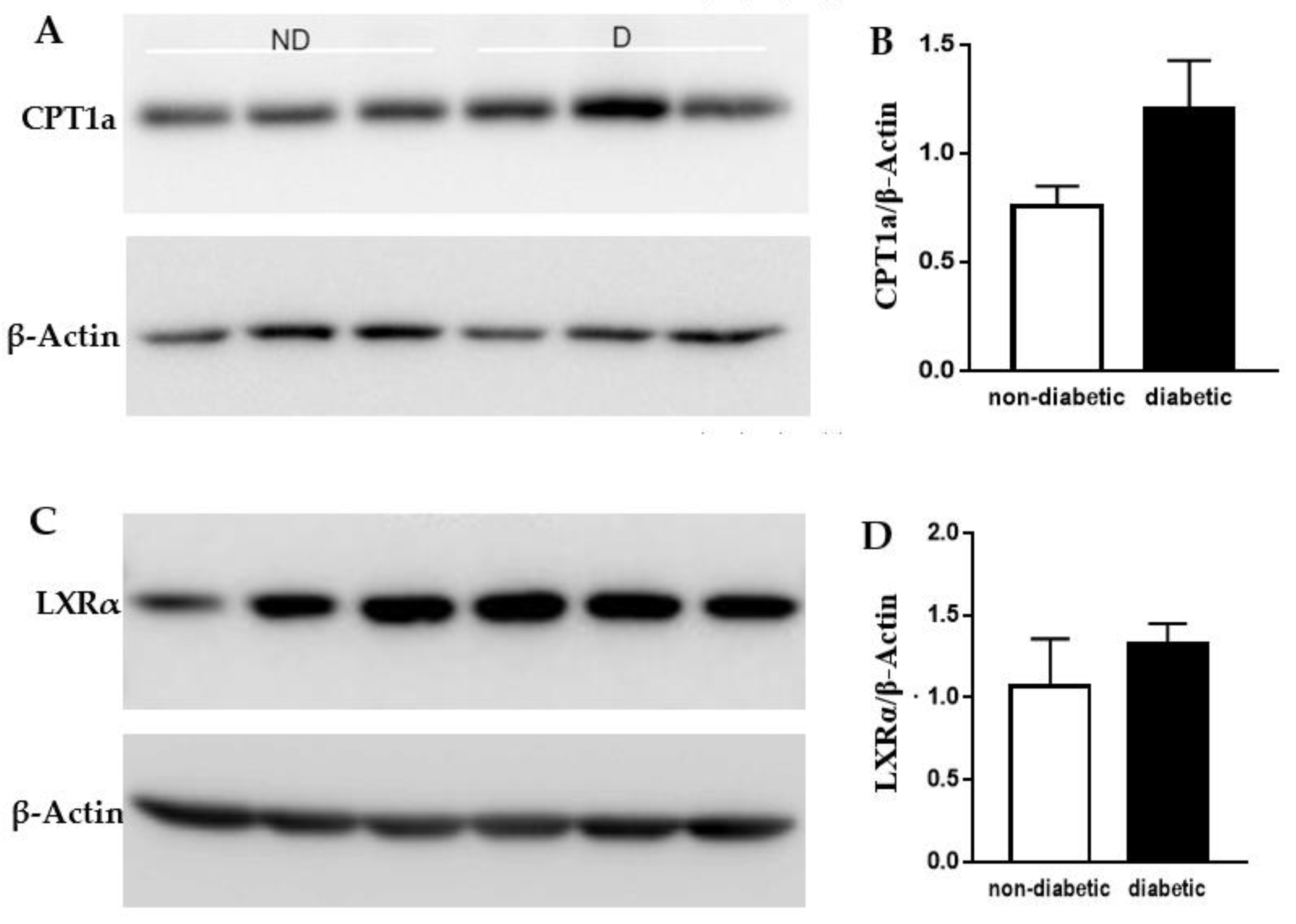 Metabolites 12 00128 g003