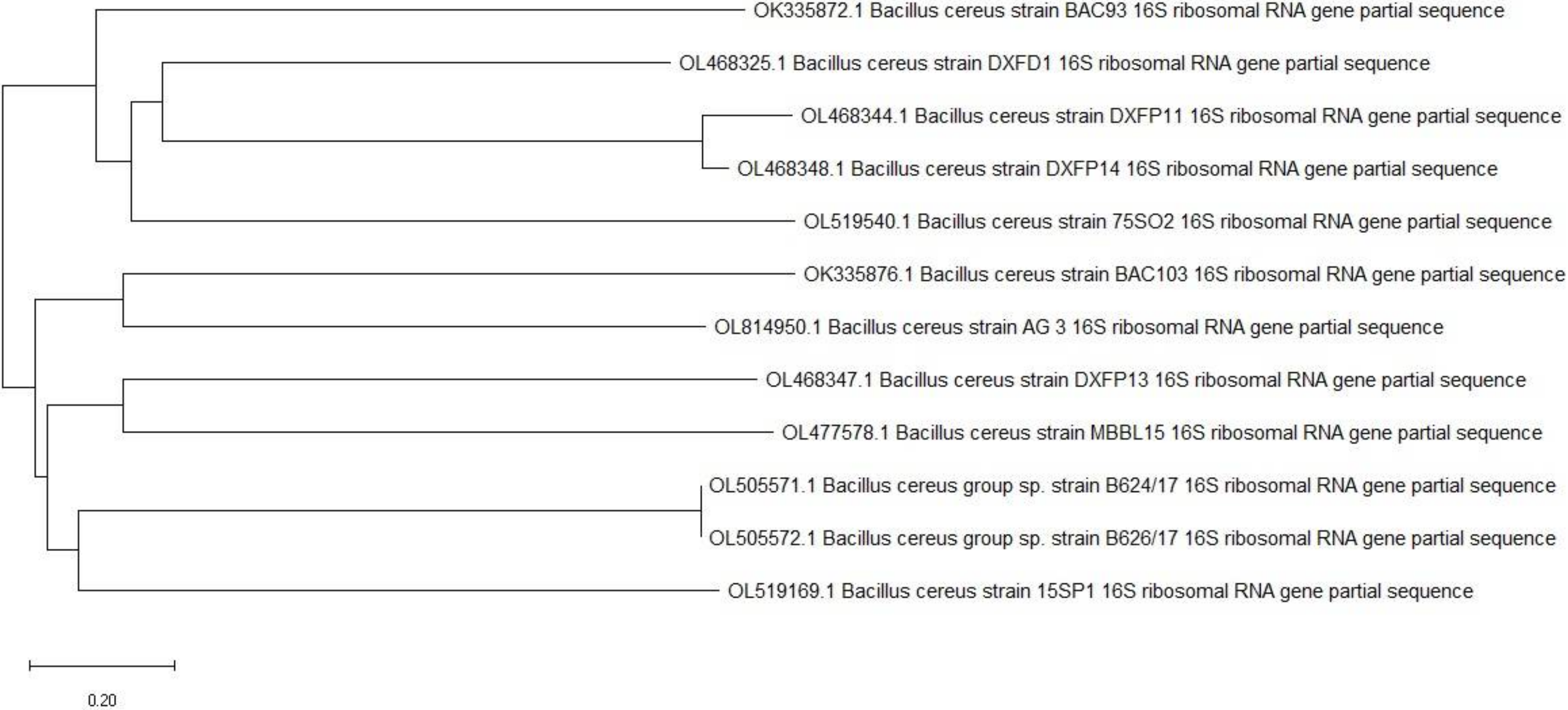 Metabolites 12 00132 g001