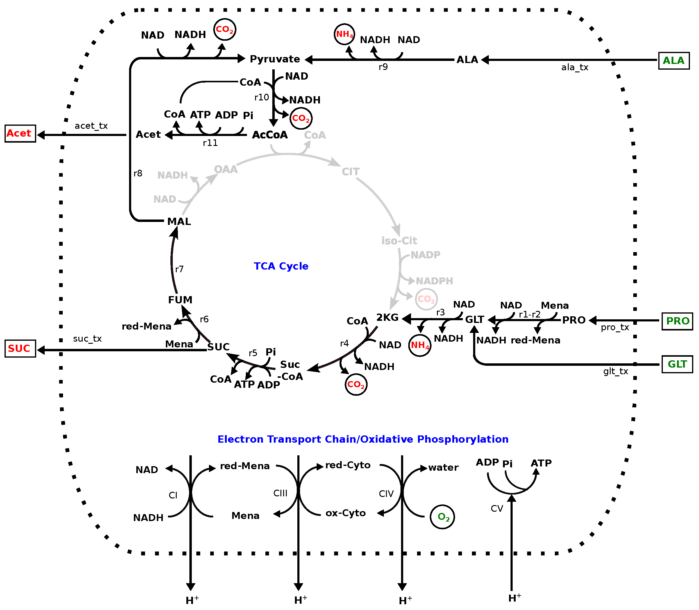 Metabolites 12 00136 g003