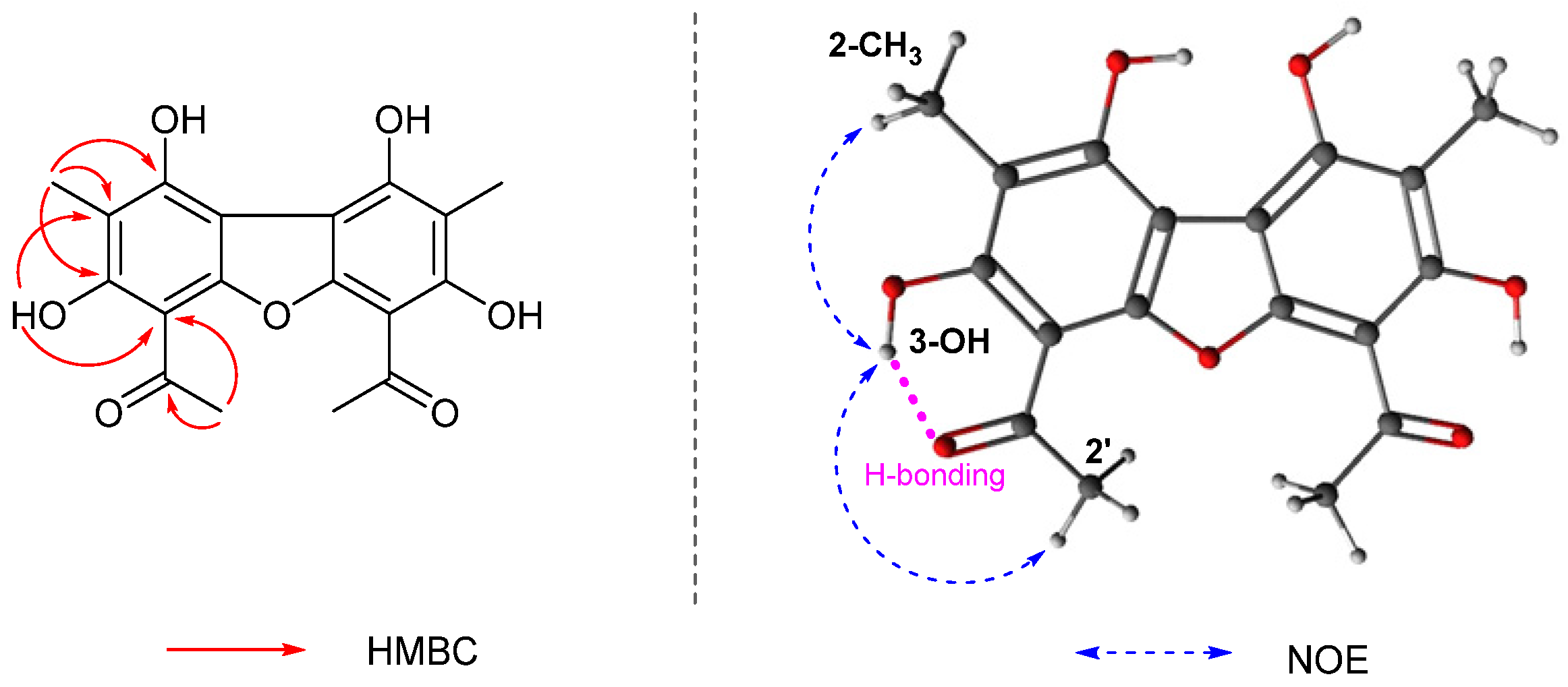 Metabolites 12 00141 g004