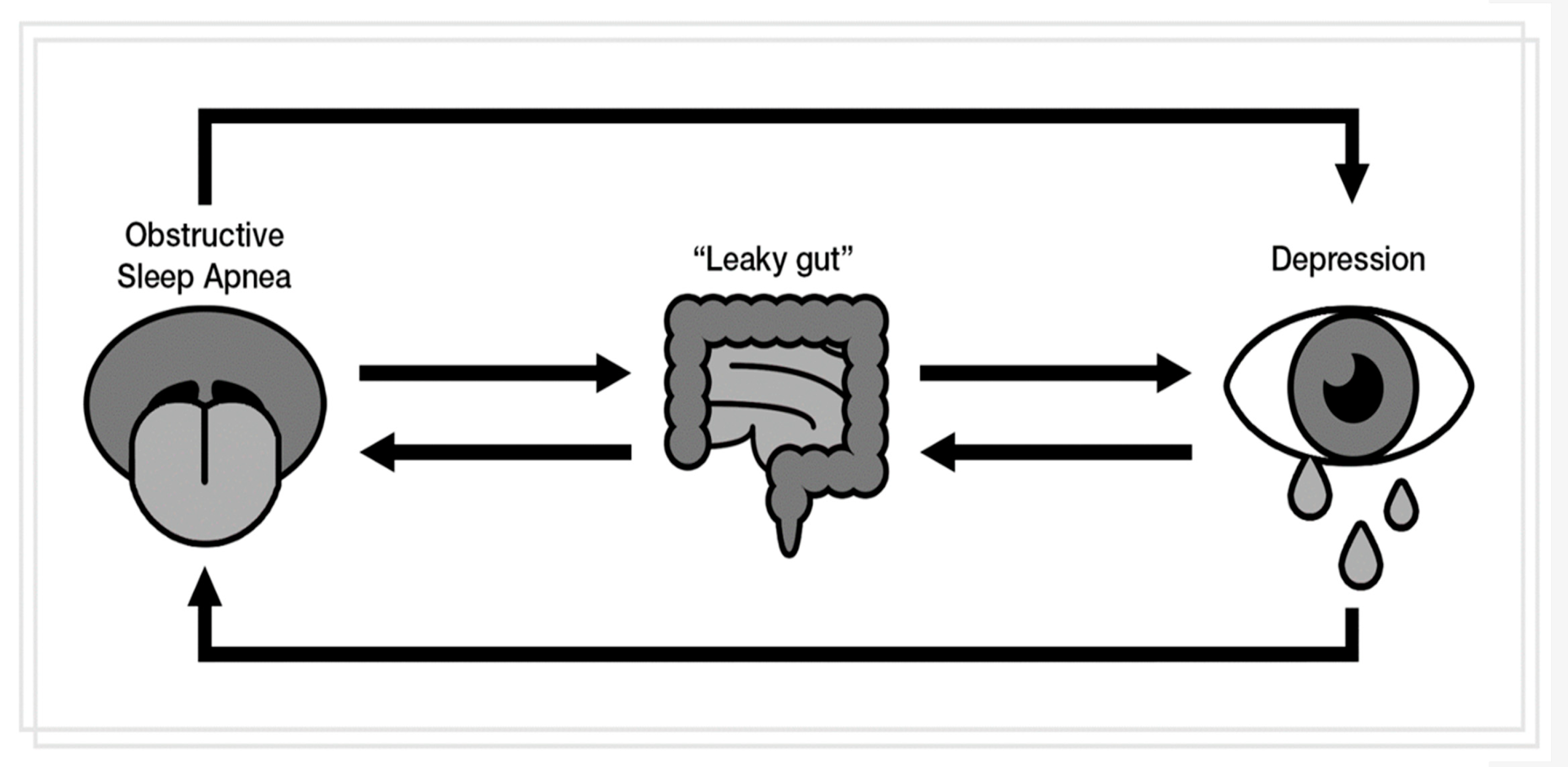 Metabolites 12 00152 g001 550