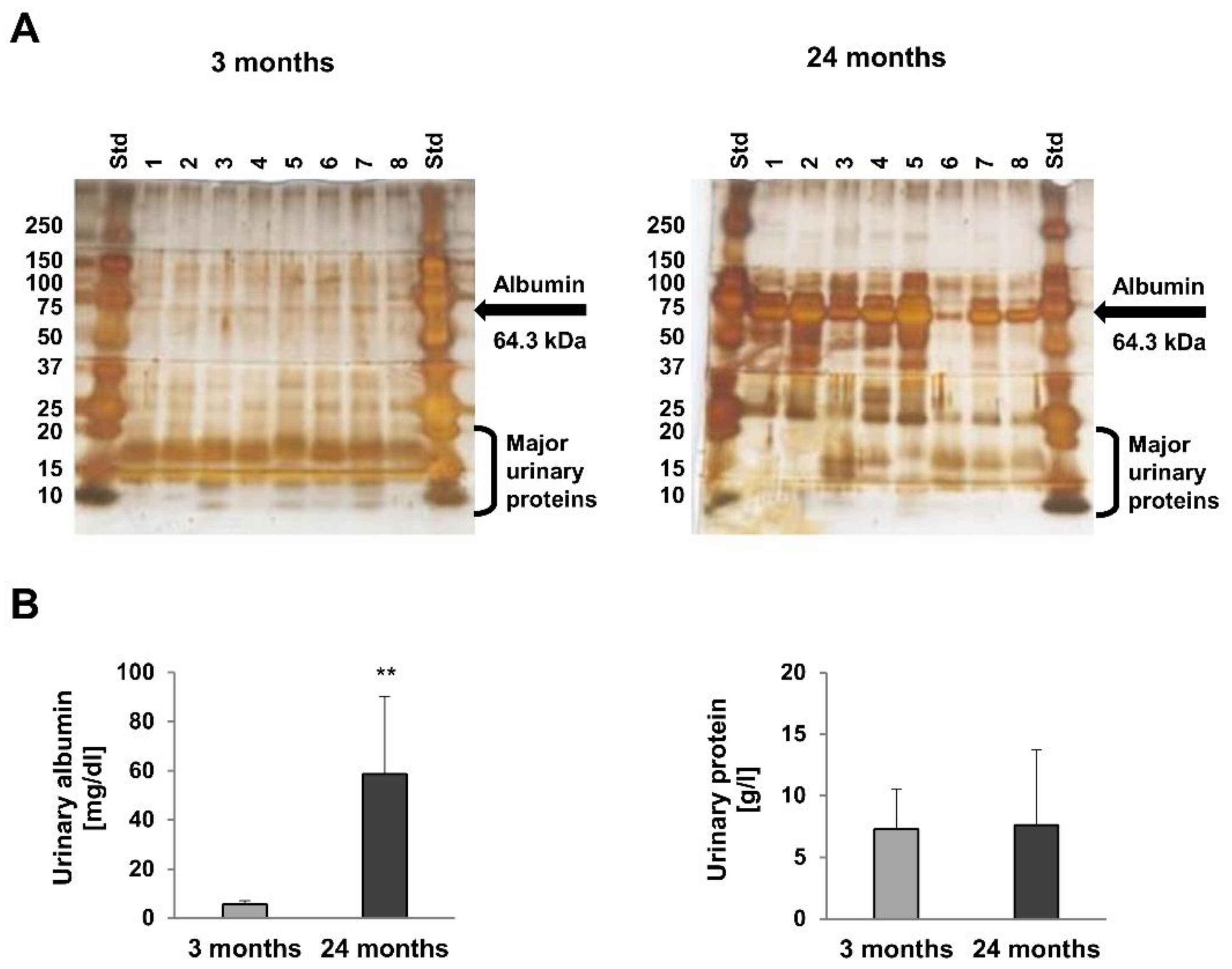 Metabolites 12 00162 g001