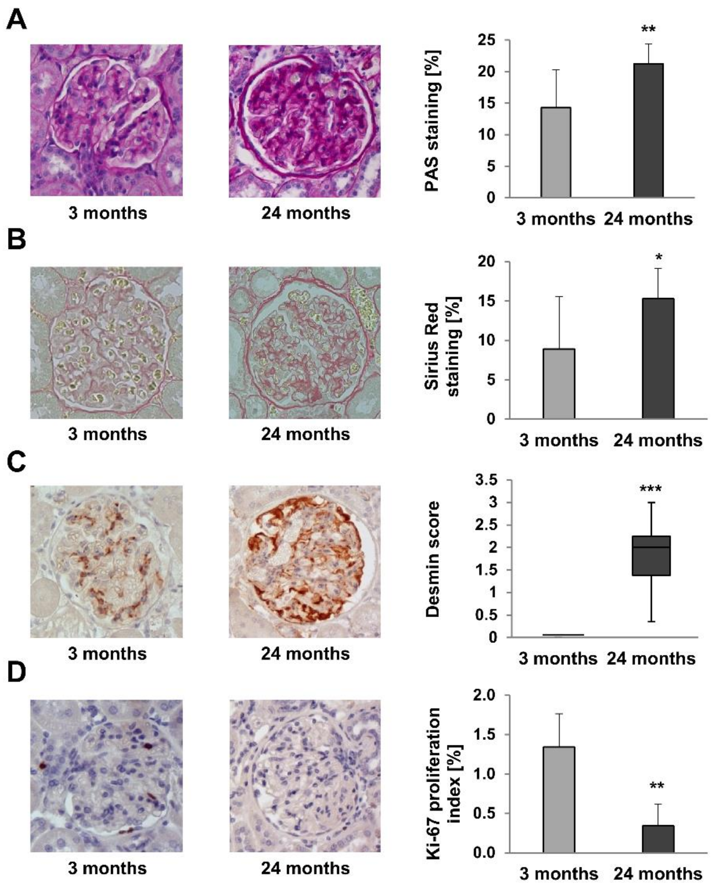Metabolites 12 00162 g004