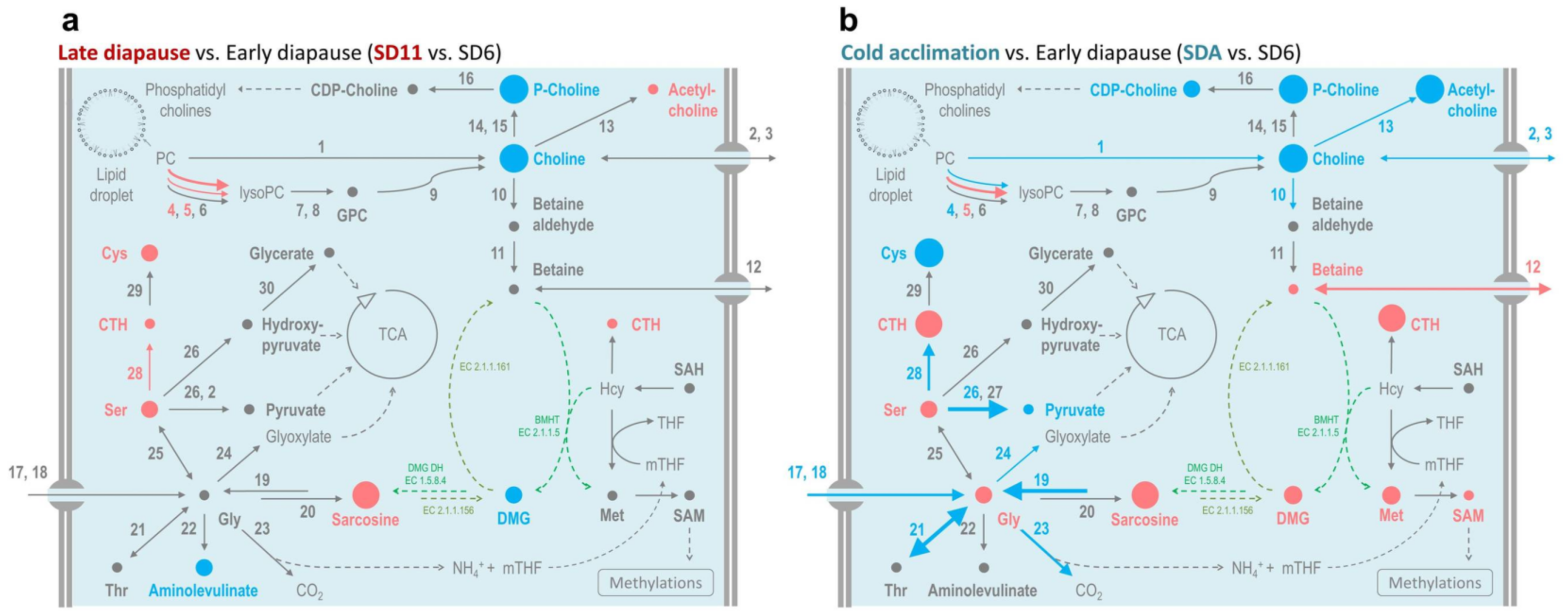 Metabolites 12 00163 g006