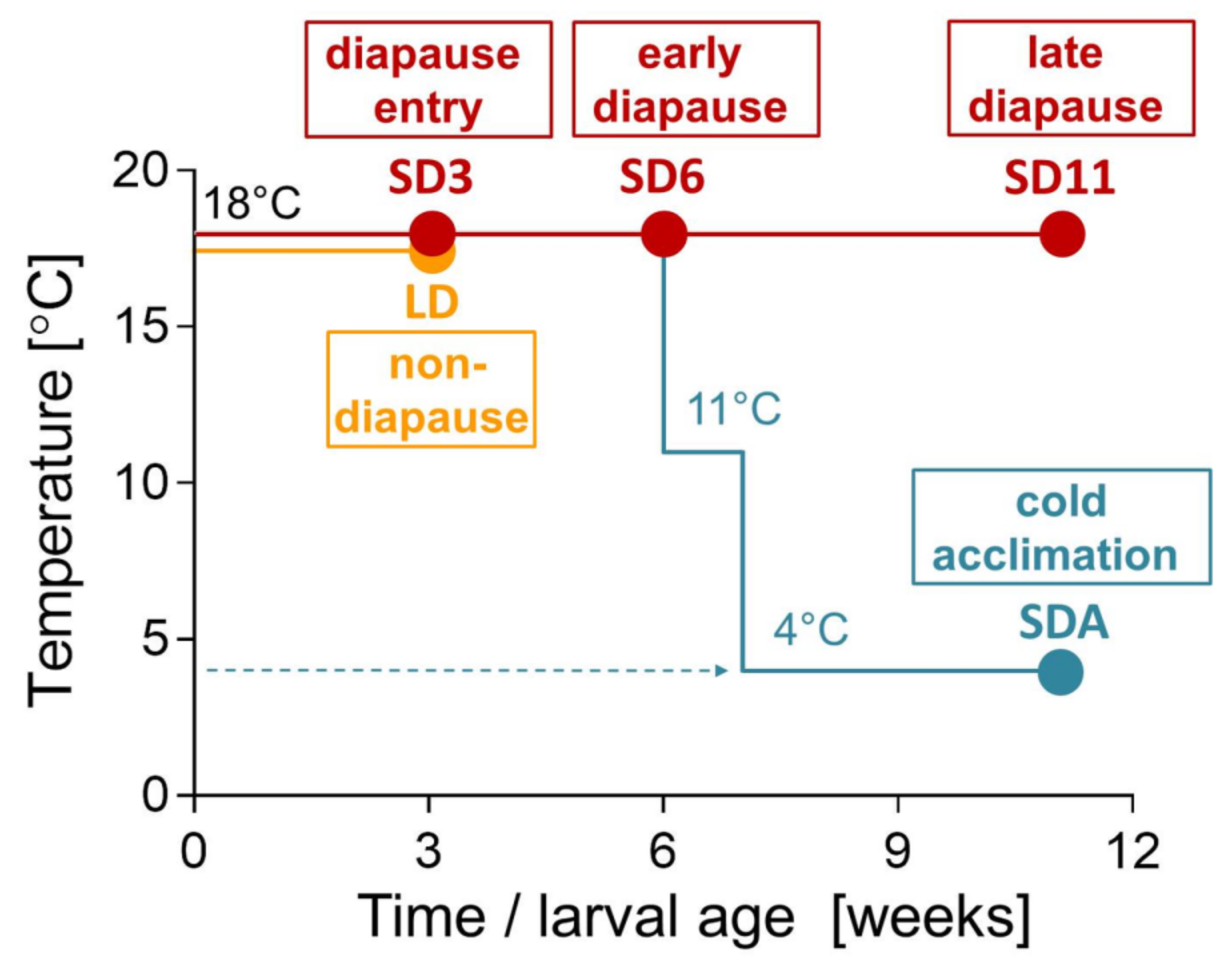 Metabolites 12 00163 g008