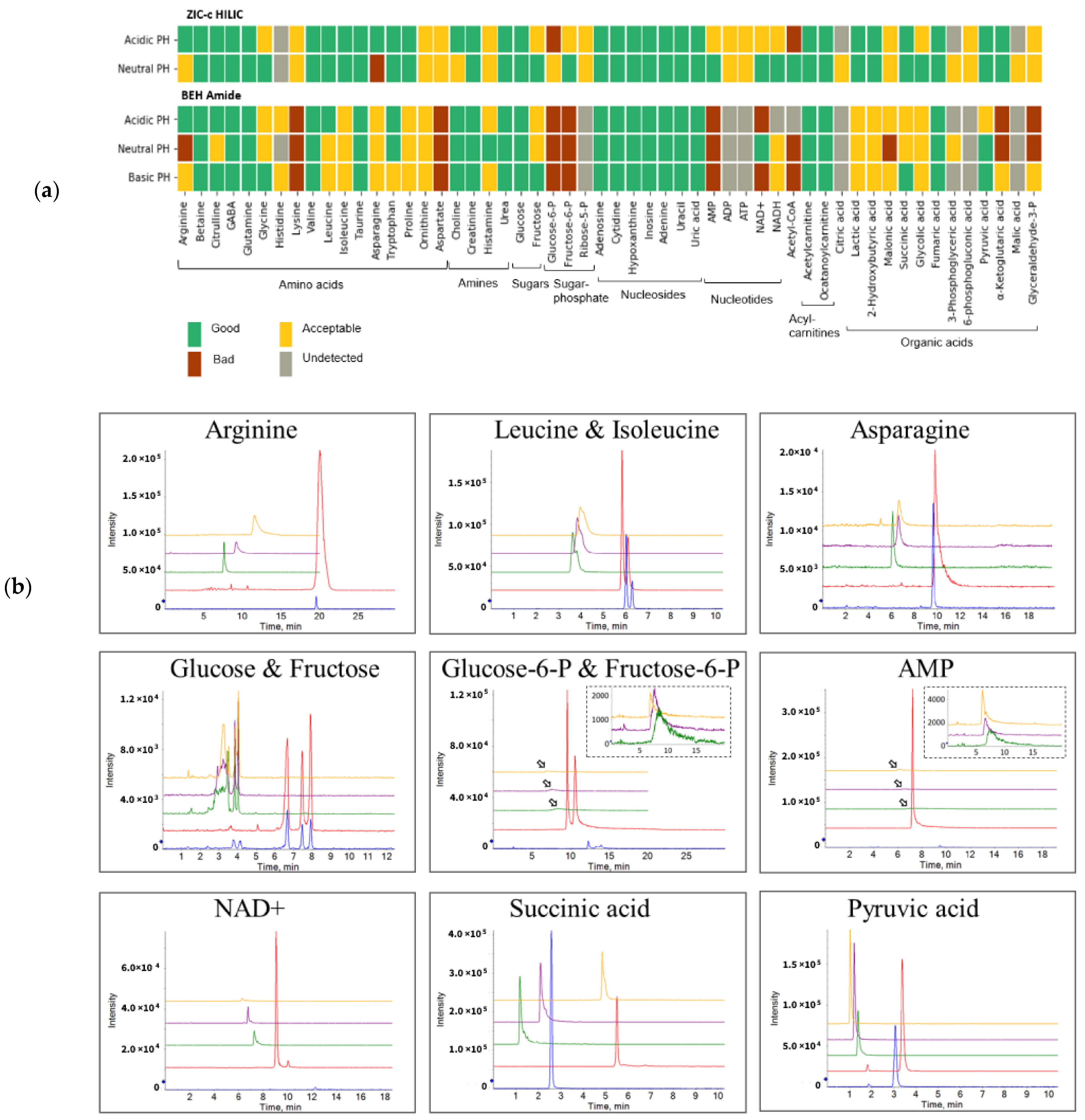 Metabolites 12 00165 g001 550