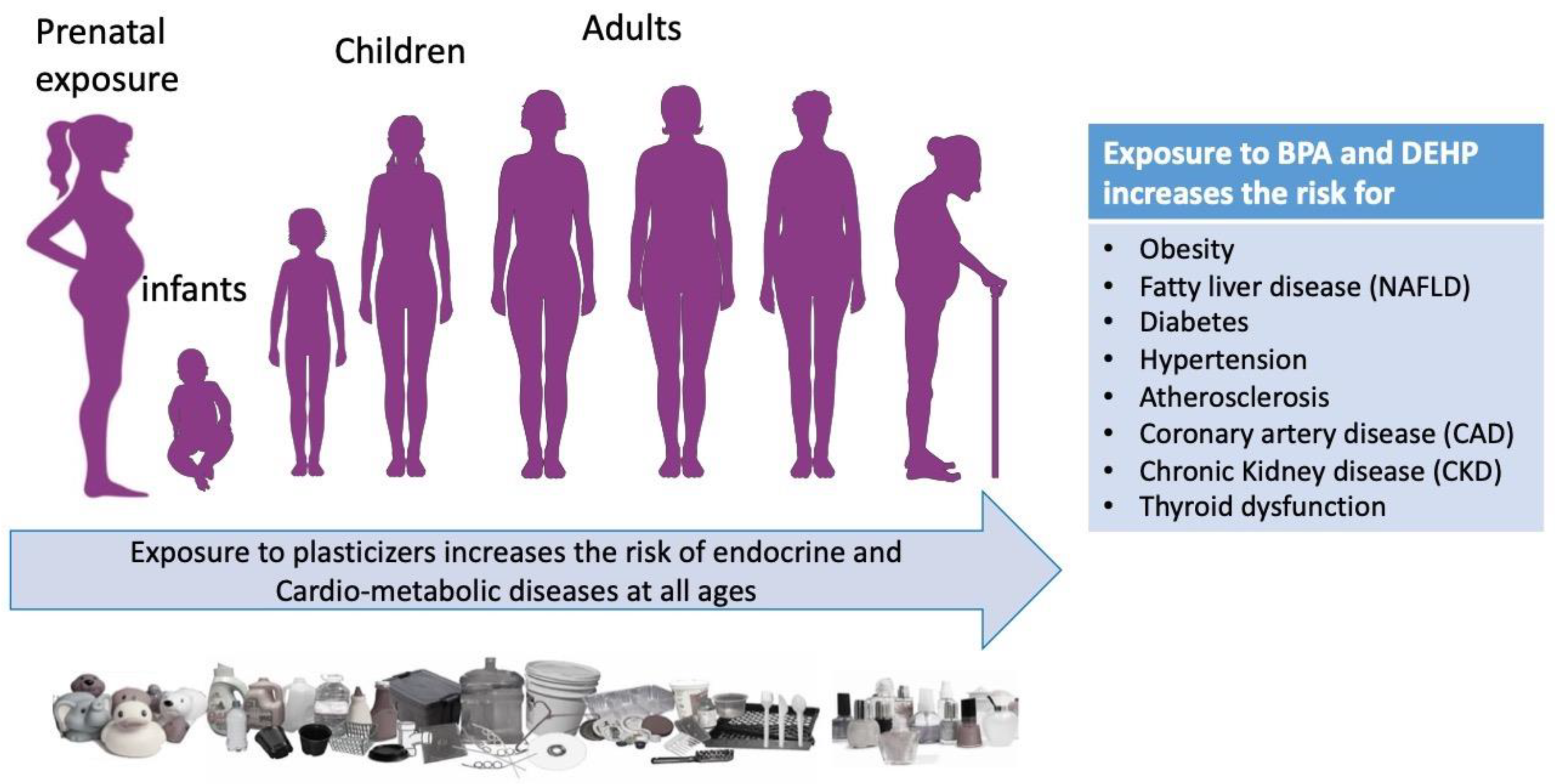 Metabolites 12 00167 g001 Metabolites 12 00167 g001
