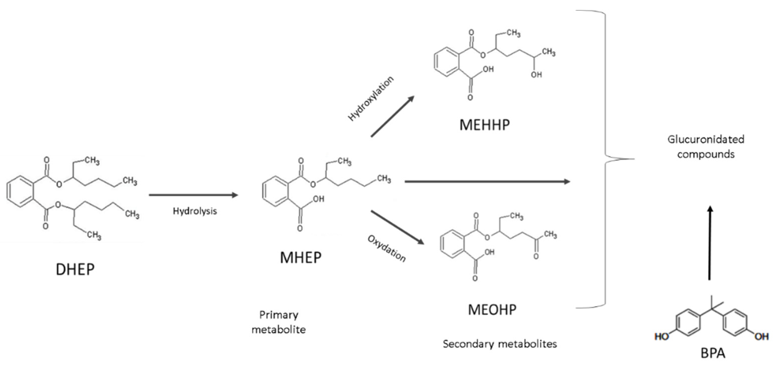 Metabolites 12 00167 g002 Metabolites 12 00167 g002