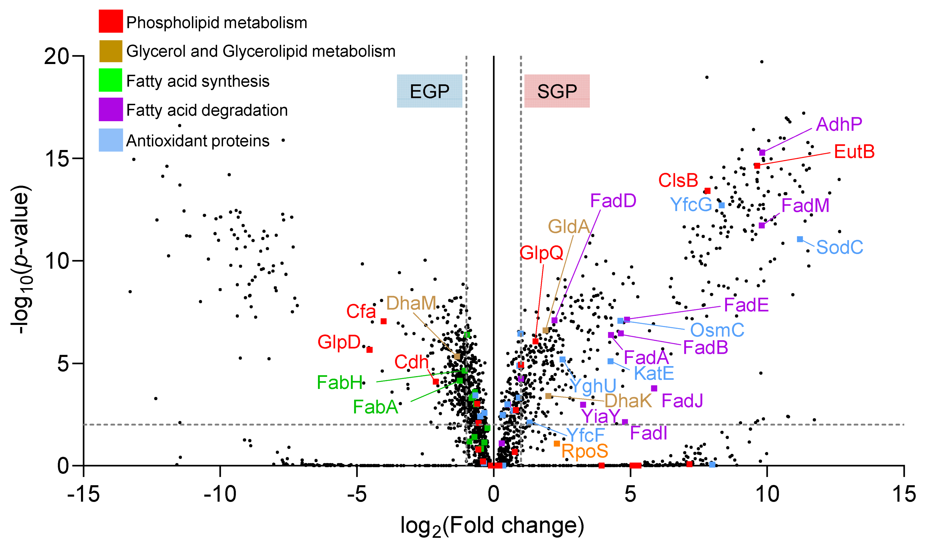 Metabolites 12 00171 g005 Metabolites 12 00171 g005