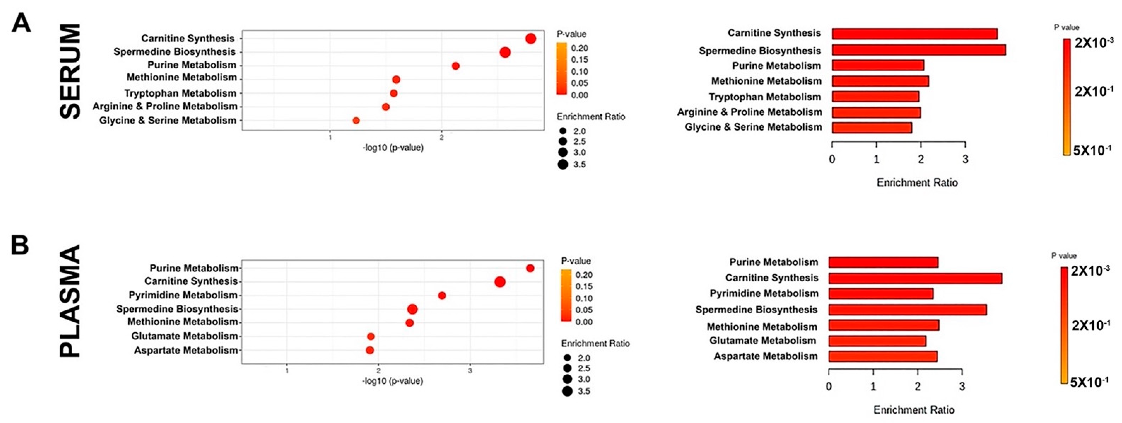 Metabolites 12 00174 g002 Metabolites 12 00174 g002