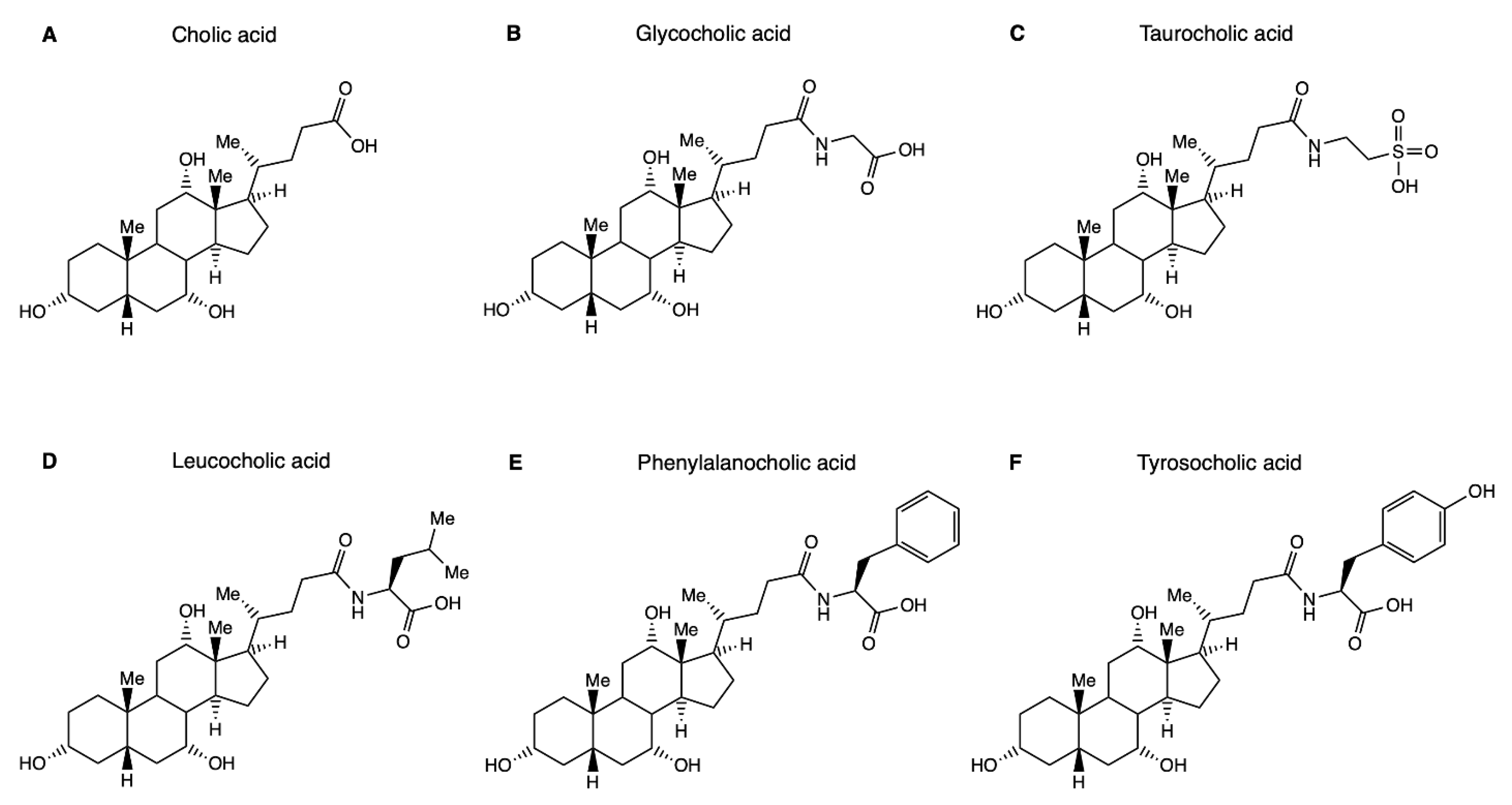 Metabolites 12 00176 g001