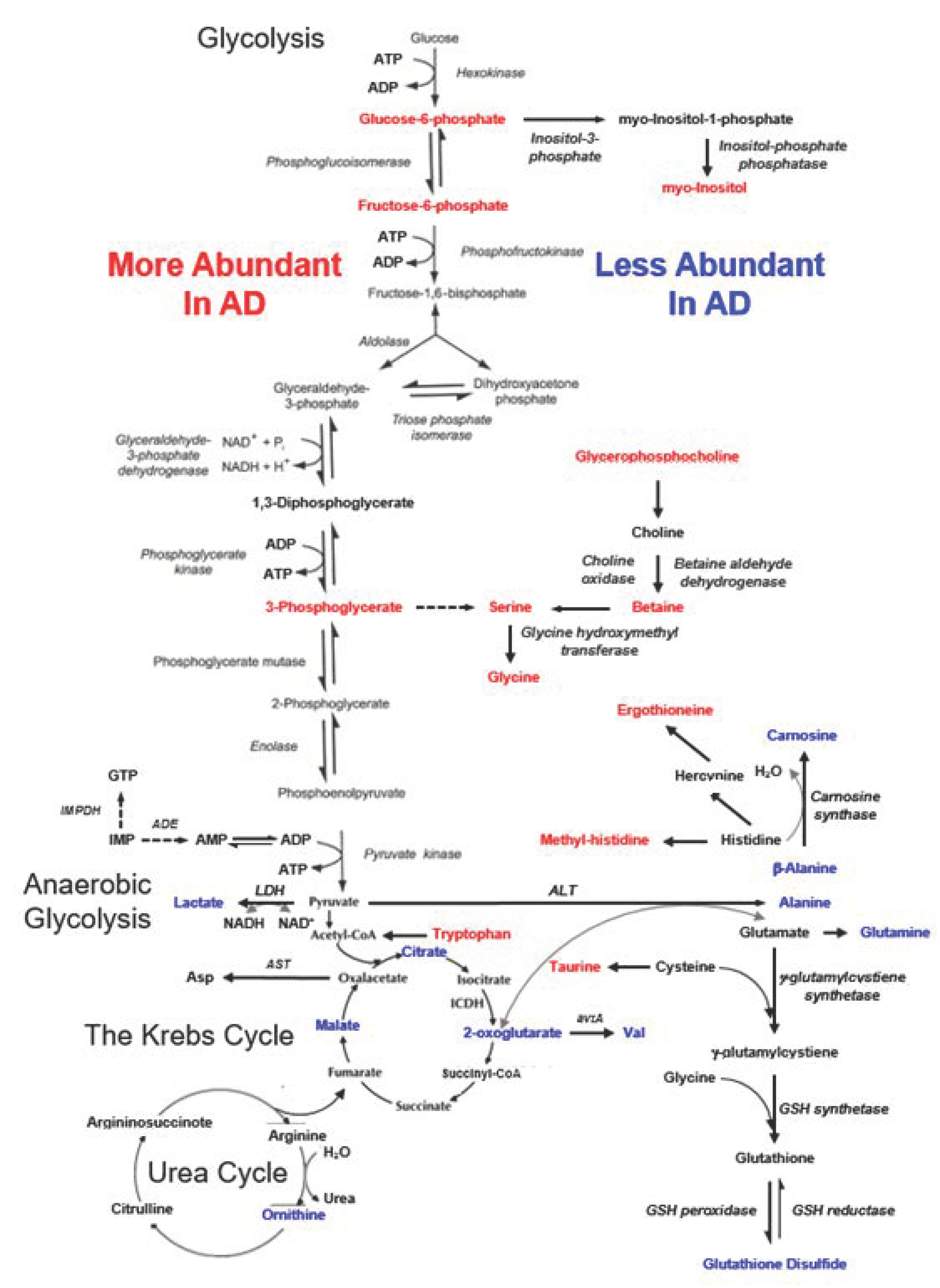 Metabolites 12 00181 g005 550