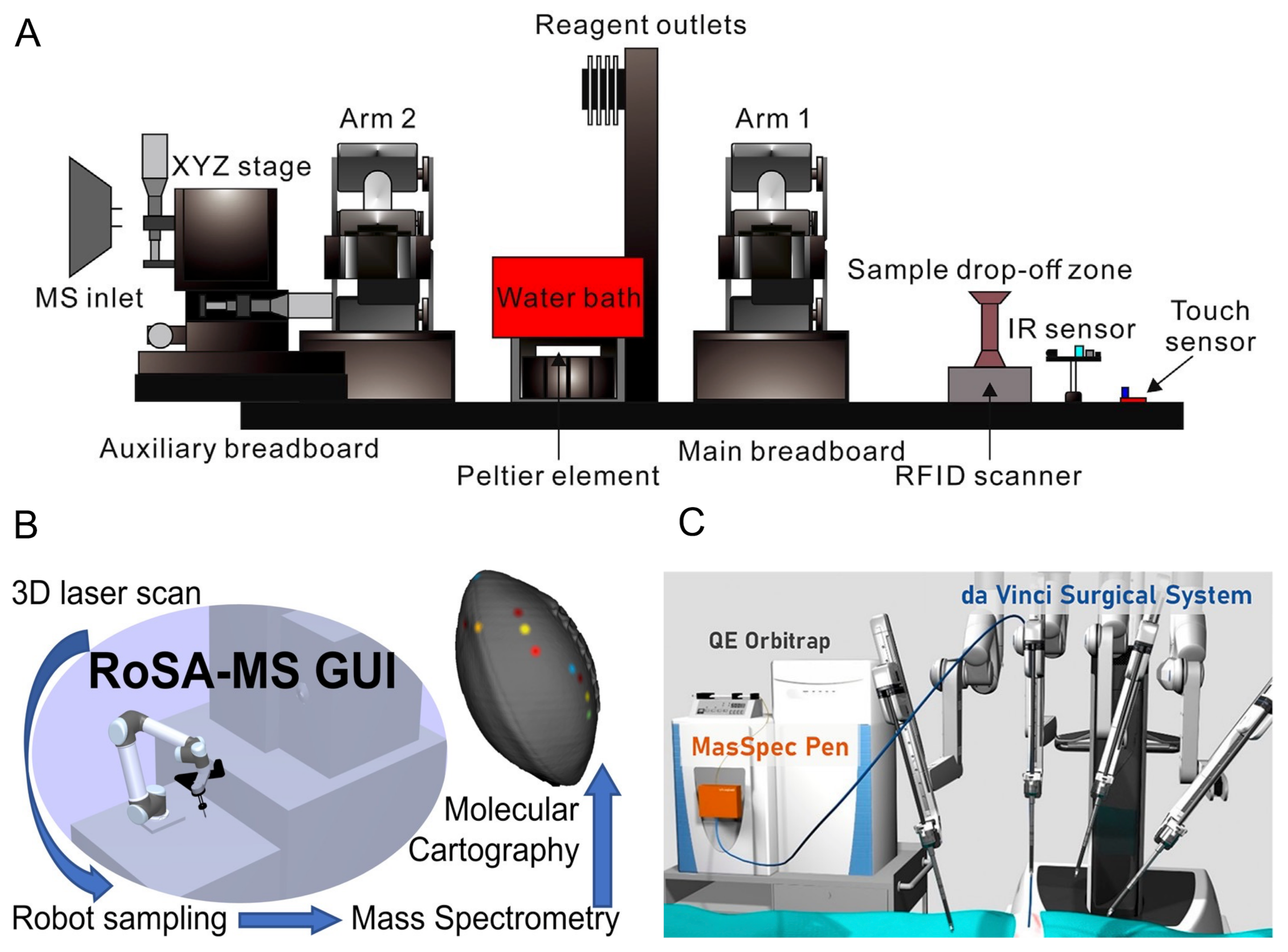 Metabolites 12 00185 g003